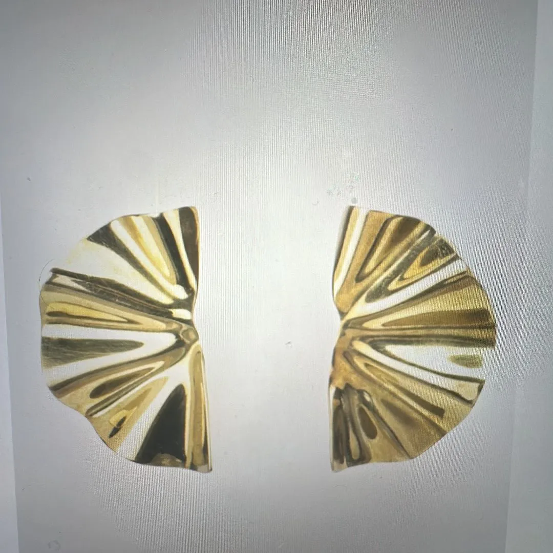 Product image for Fan earrings