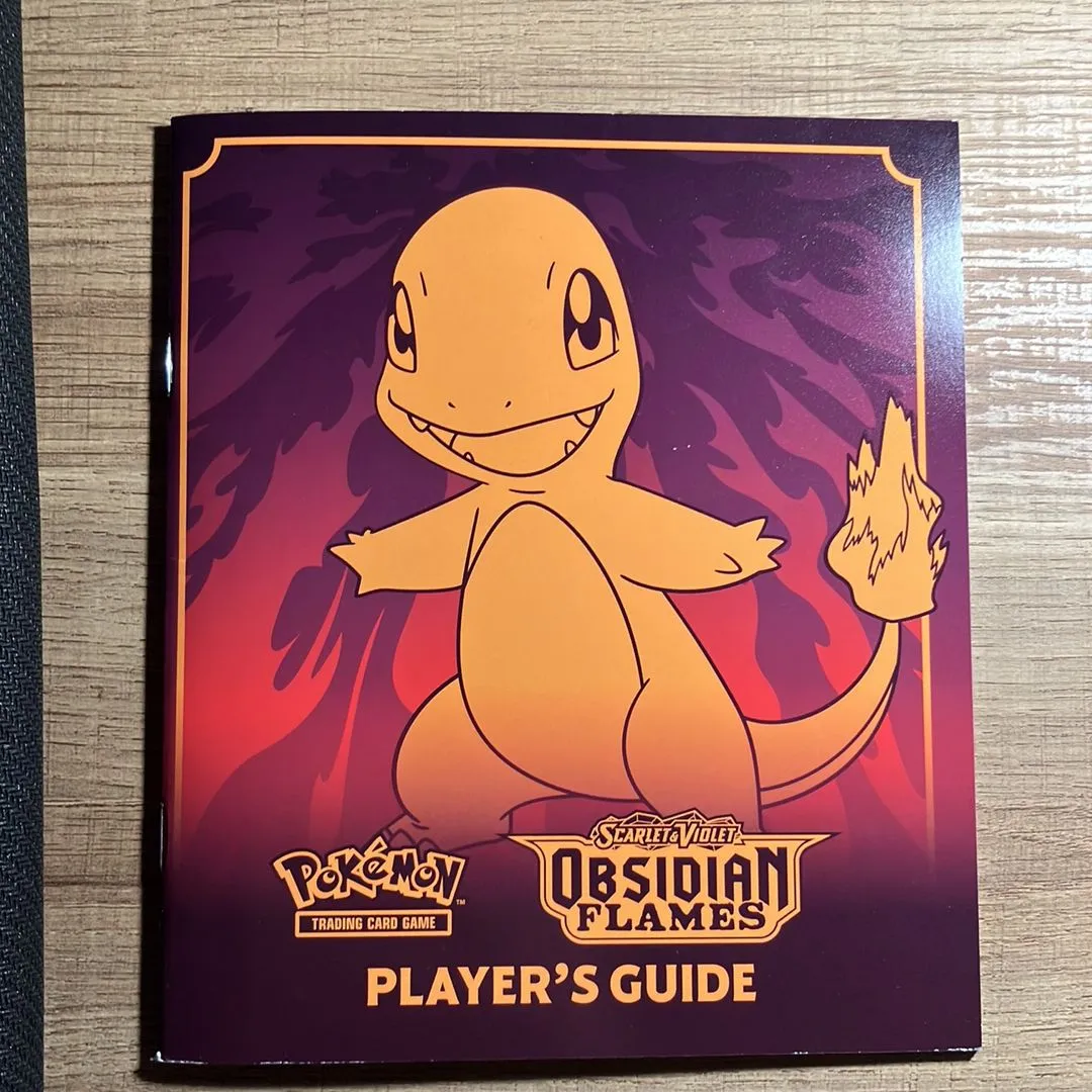 Product image for Obsidian Flames Player Guide