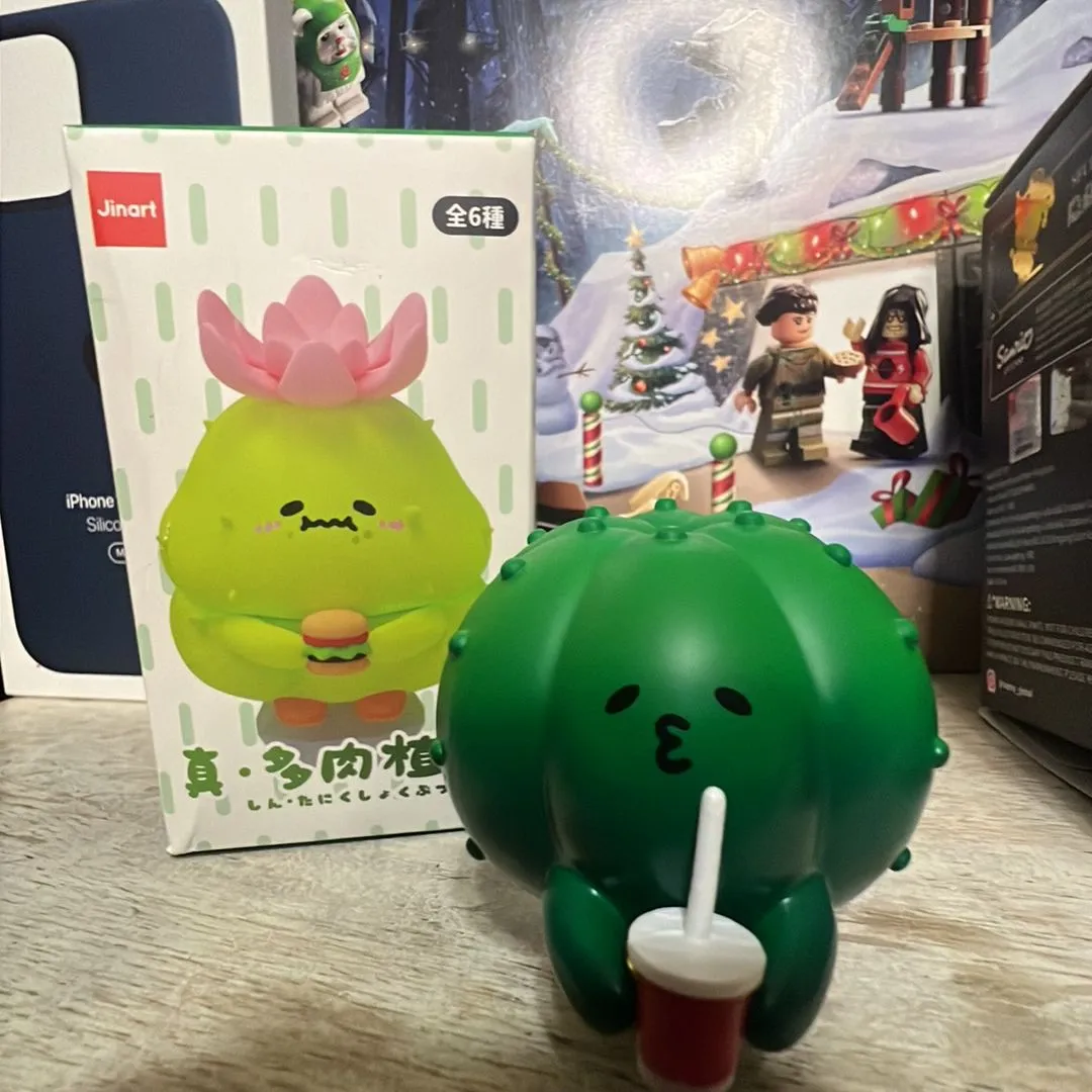 Product image for Succulent Japanese blind box