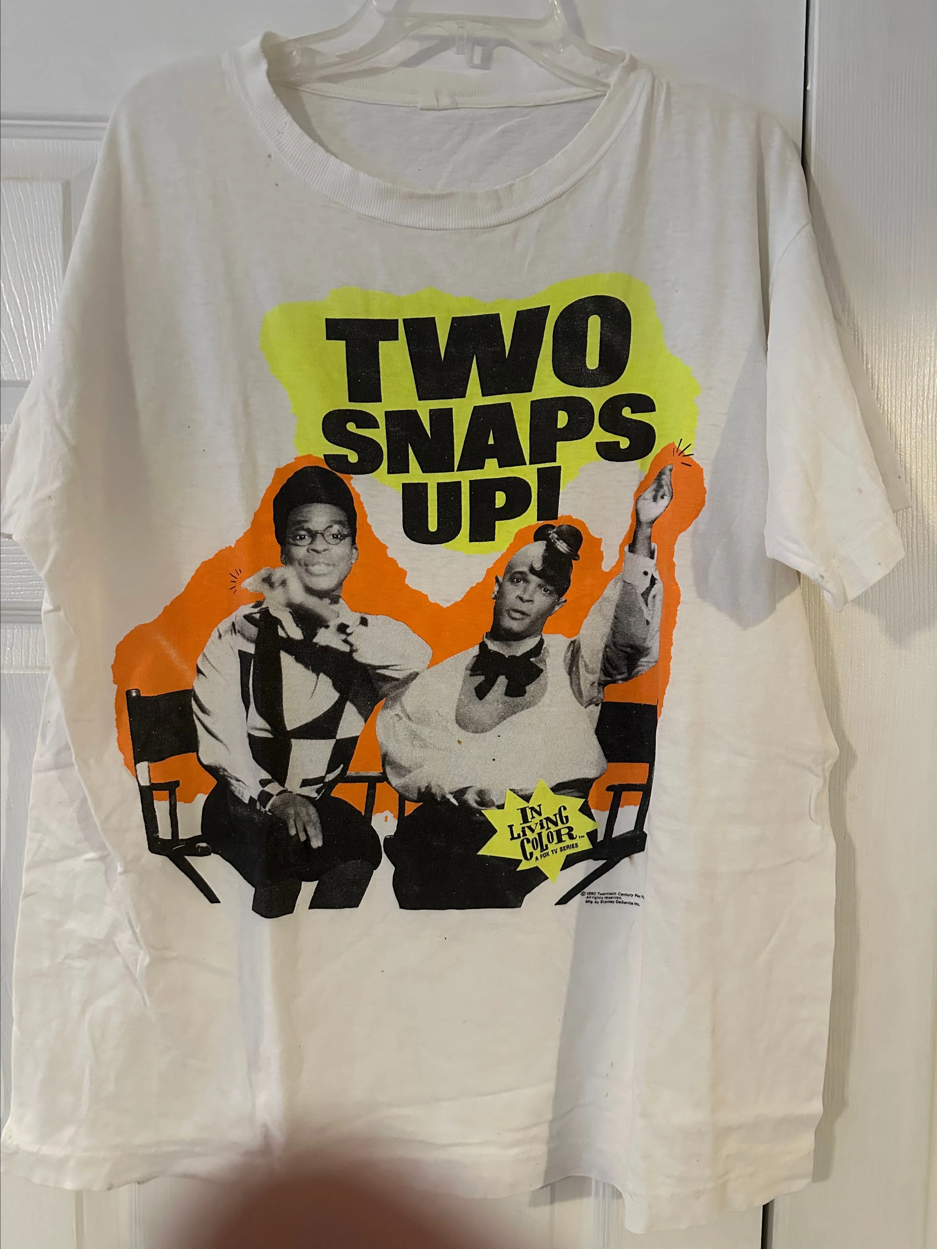 Product image for In living color 2 snaps up