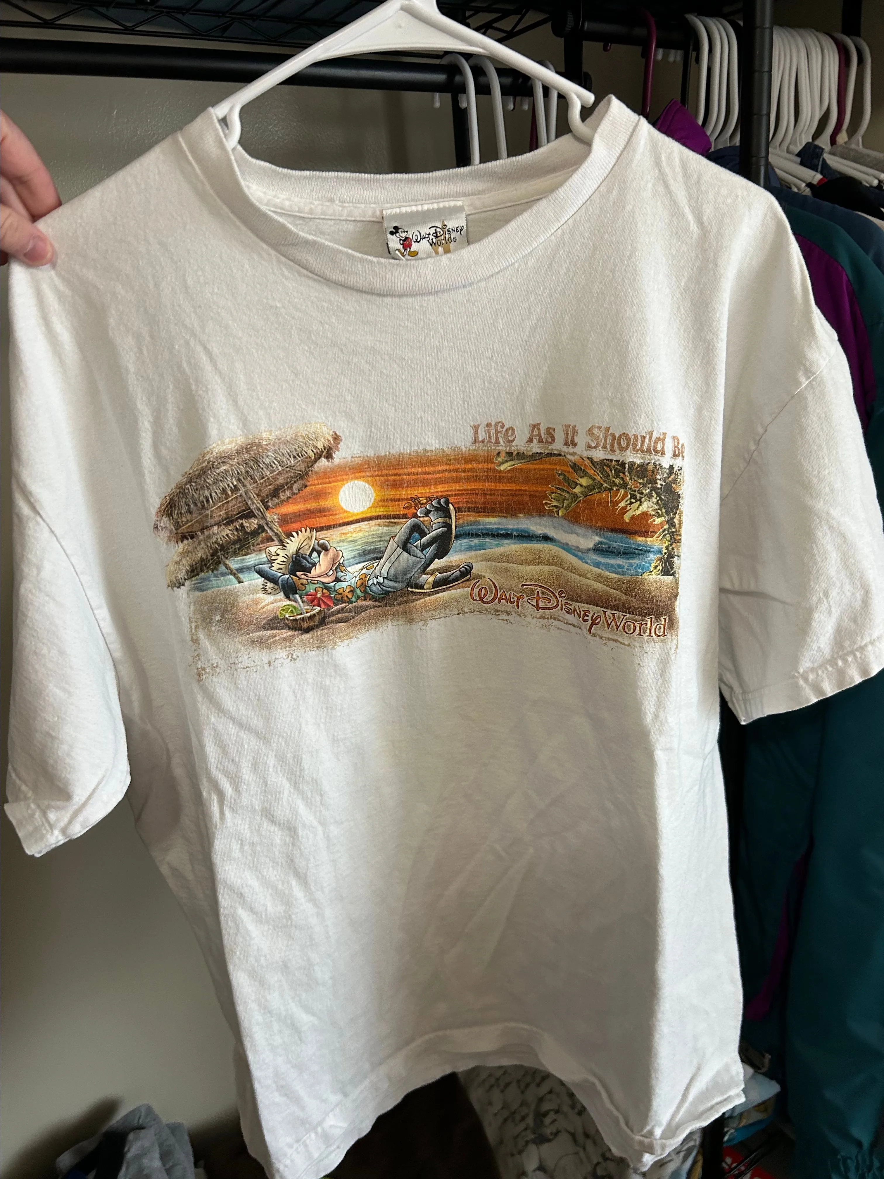 Product image for Disney Goofy Beach