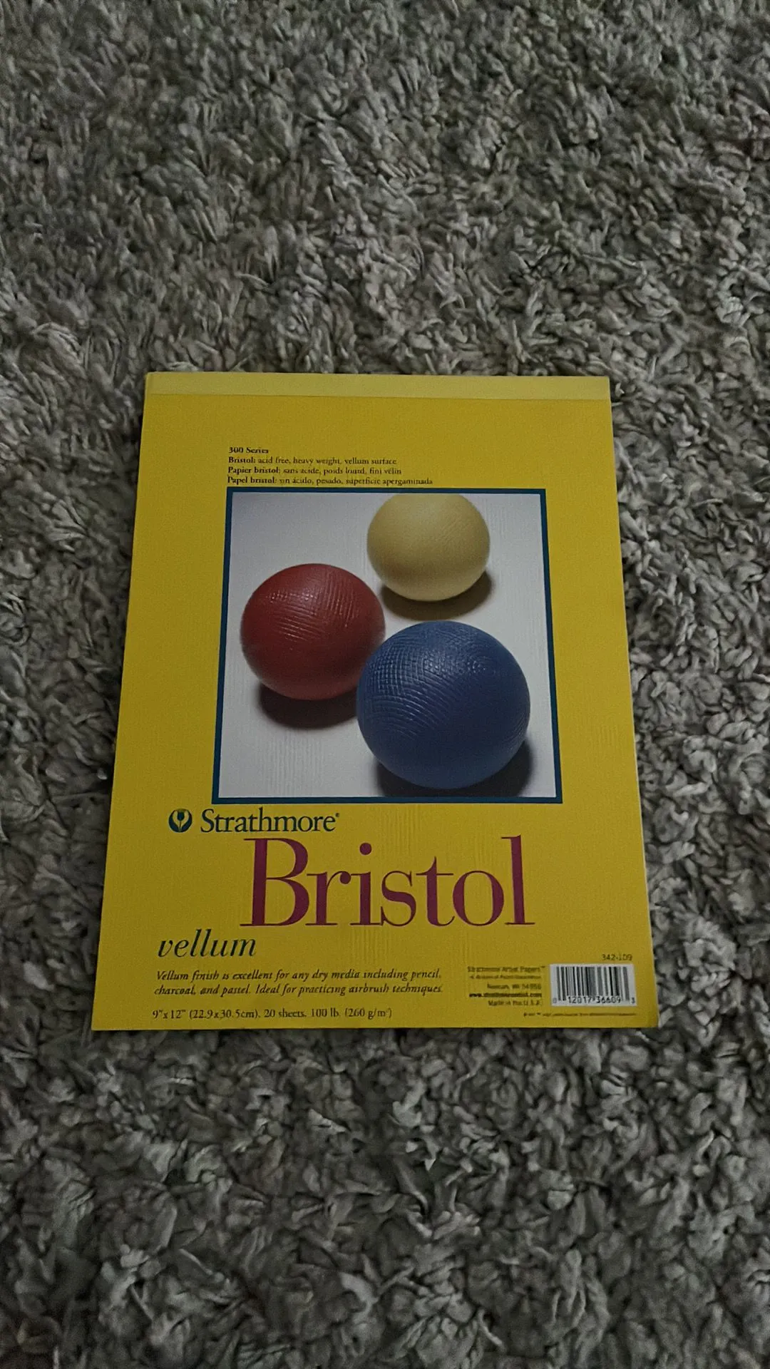 Product image for Strathmore Bristol Vellum 9x12 Artist Paper