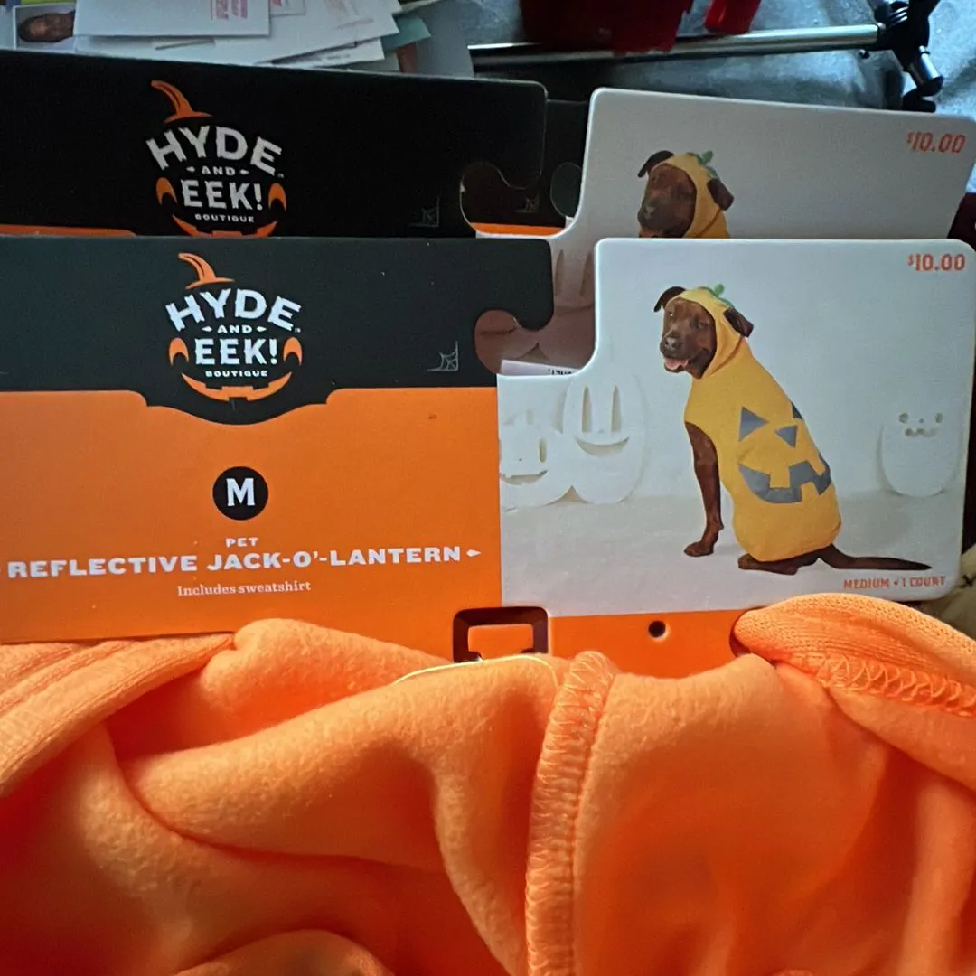 Product image for Pumpkin pet costume size medium