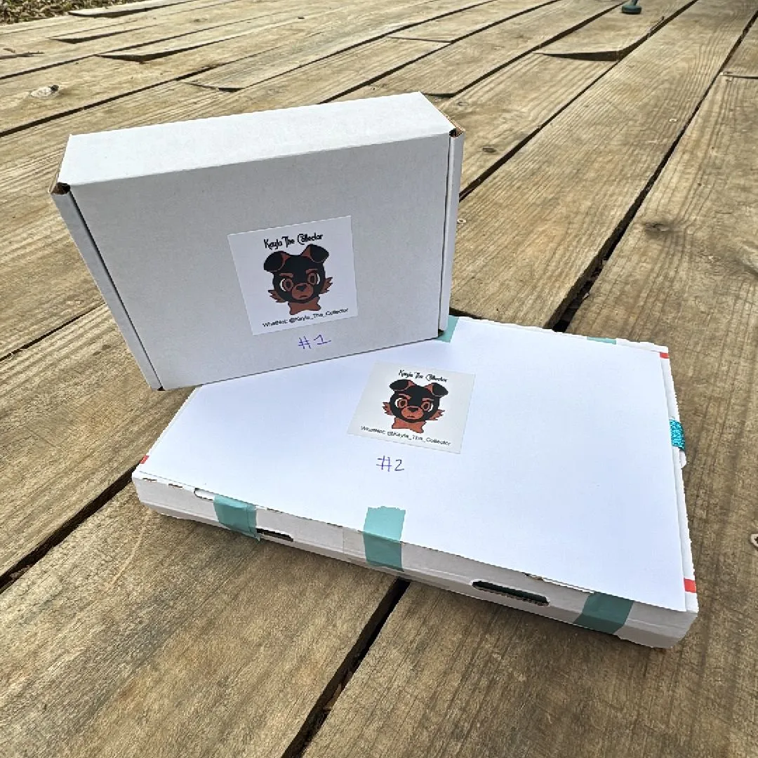 Product image for Two Part Trust Mystery Boxes!These are for your enter child or kiddos!Guaranteed hits!