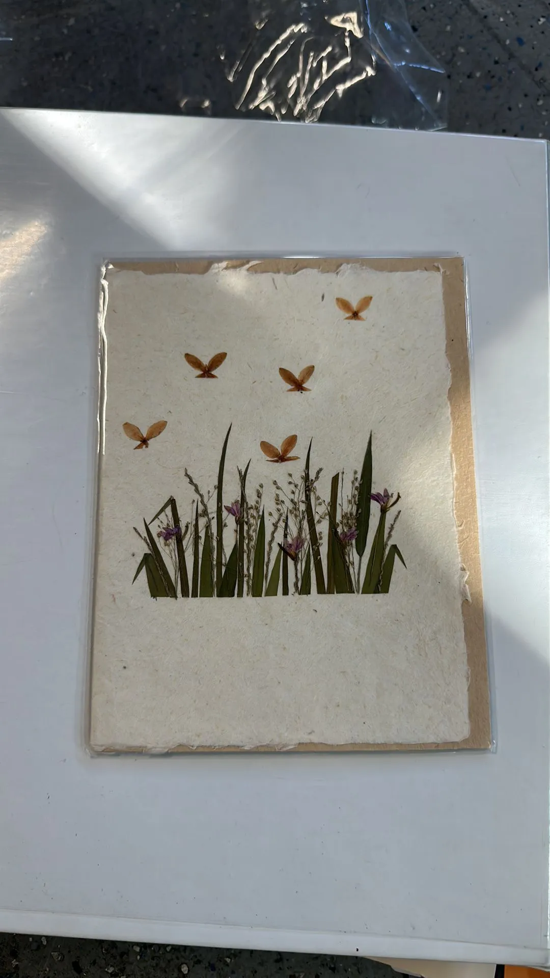 Product image for Handmade dried flower card butterflies