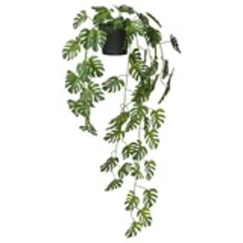 philodendron dean mcdowell Philodendron Dean McDowell – Greenroom Planter
