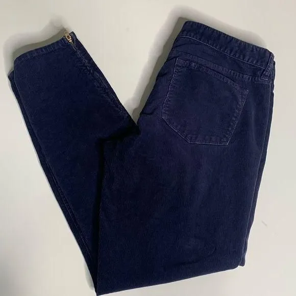 Product image for JCrew Toothpick Corduroy Skinny Size 29
