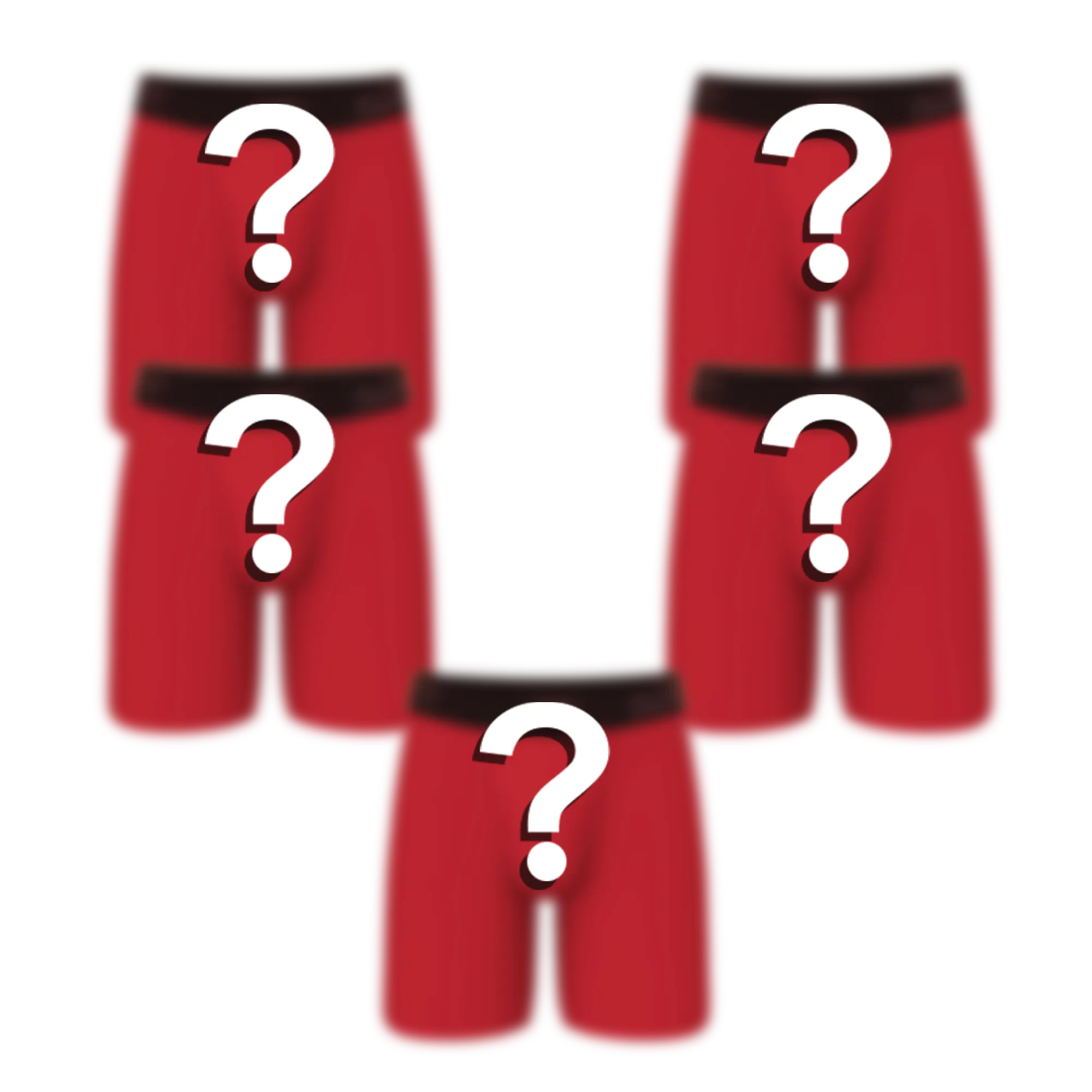 The Mystery Bundle | Long Leg Ball Hammock® Pouch Underwear With Fly 5 Pack