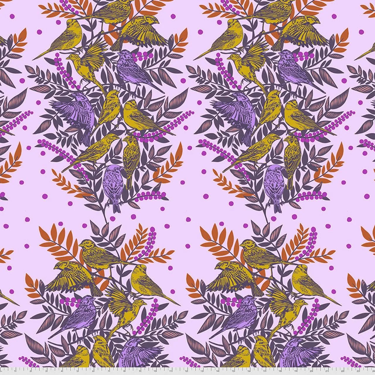Free Spirit | Bright Eyes | Anna Maria | Visitation | Lilac