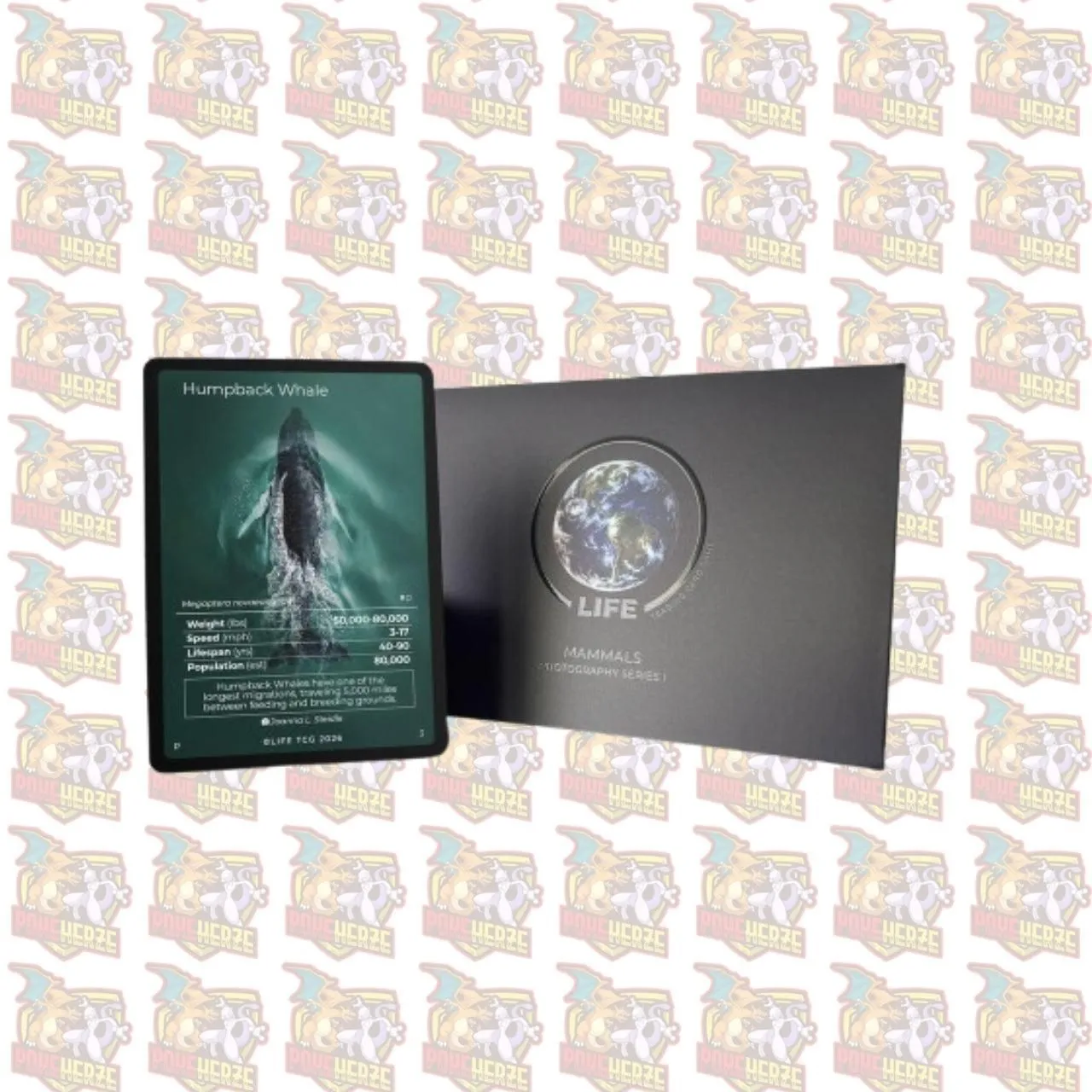 Humpback Whale Photography Card Life TCG Sealed