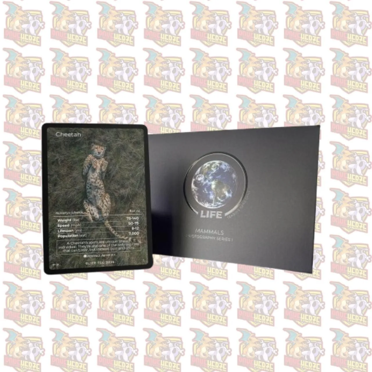 Cheetah Photography Card Life TCG Seald