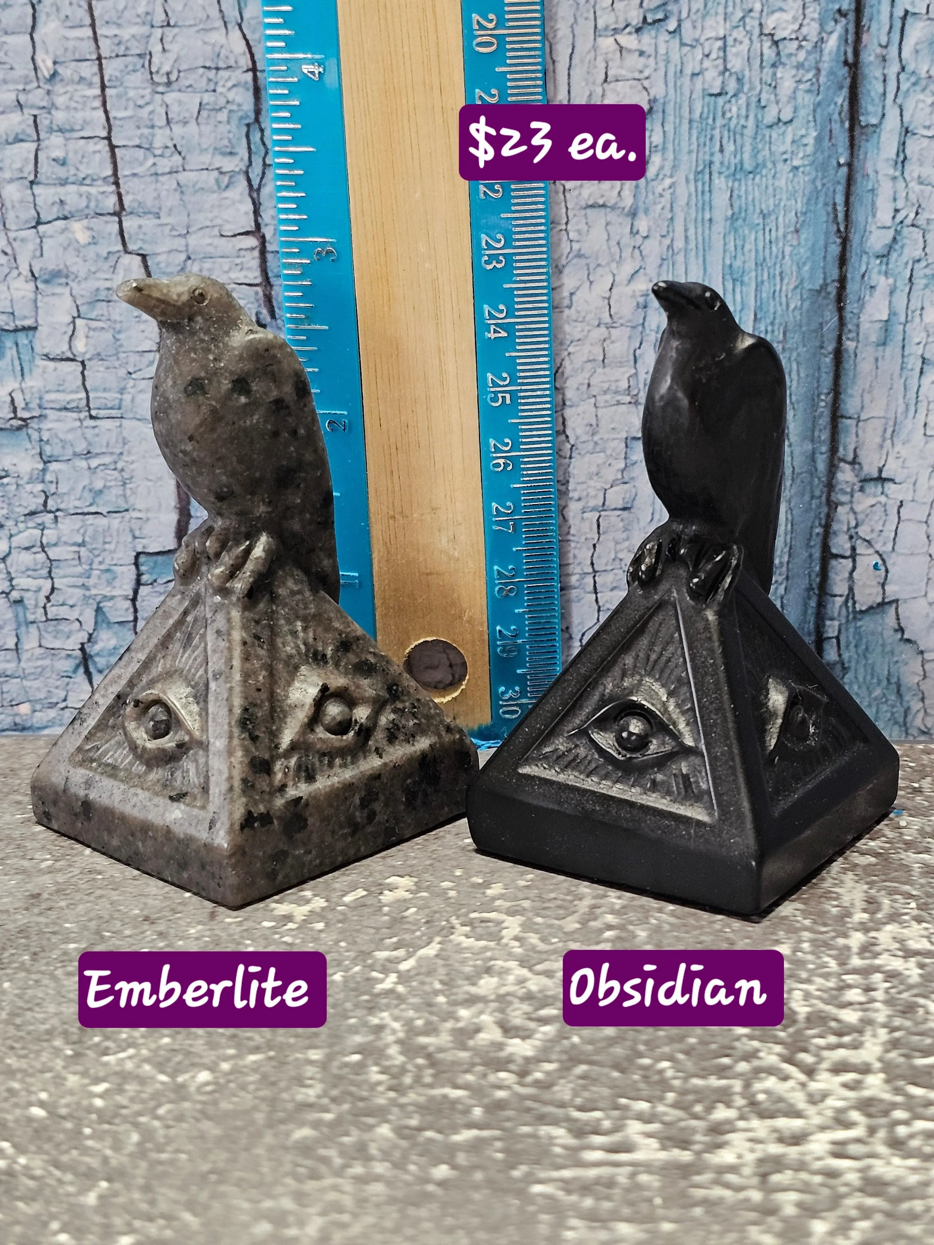 Raven with All Seeing Eye