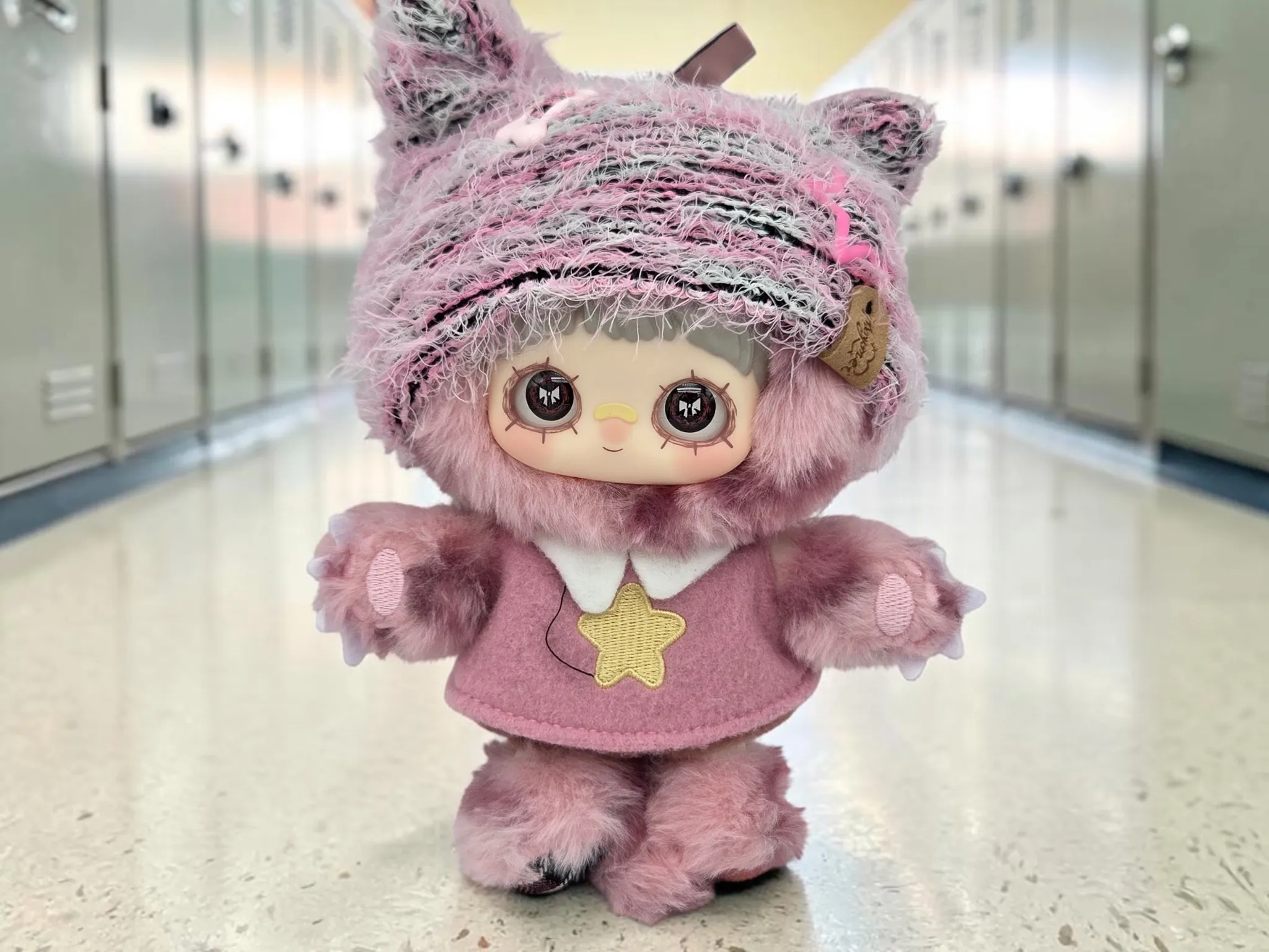 Maymei Kitten Academy - Confirmed Hearty Kitten