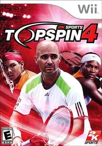 Top Spin 4