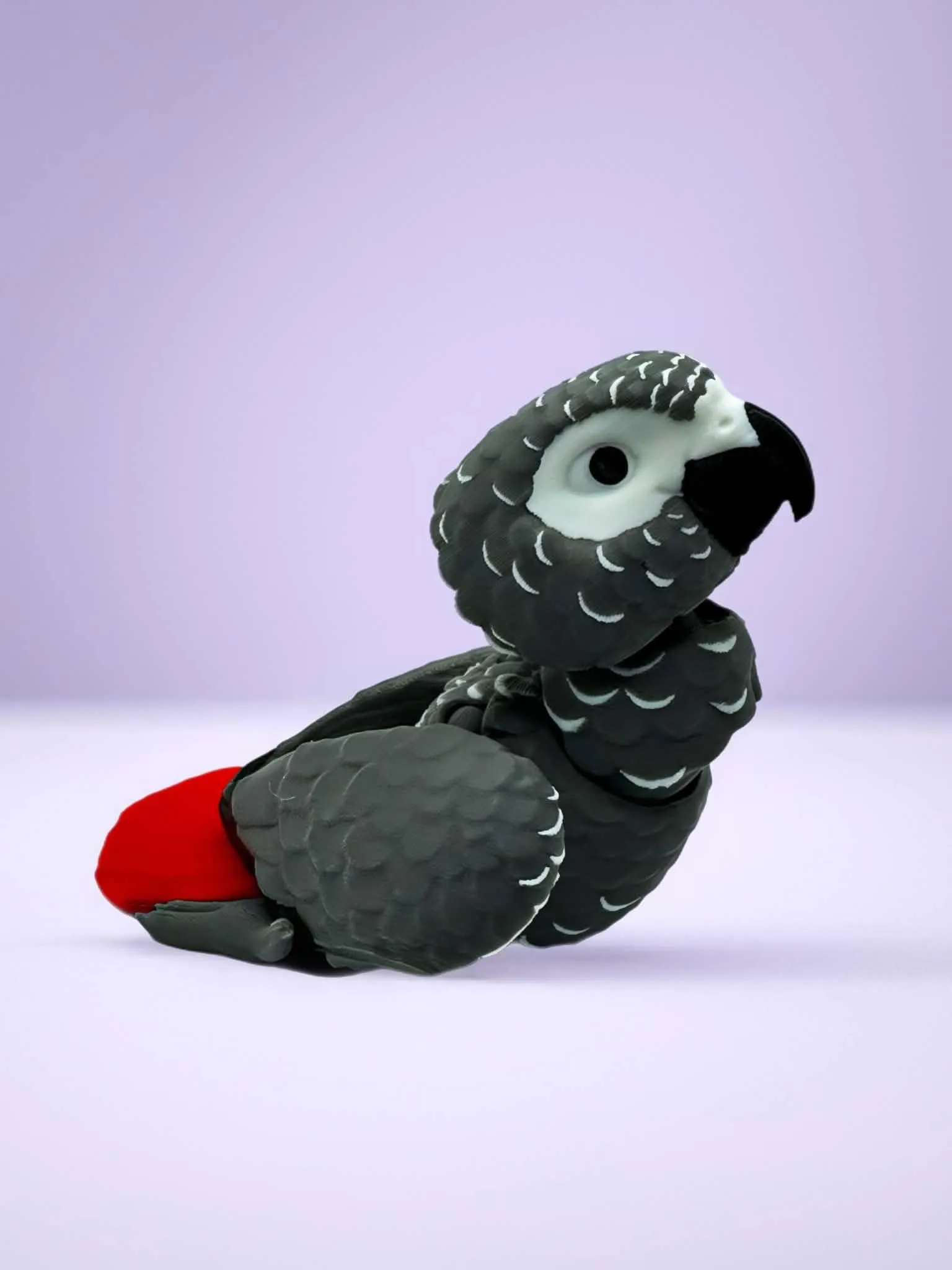 African Grey Parrot