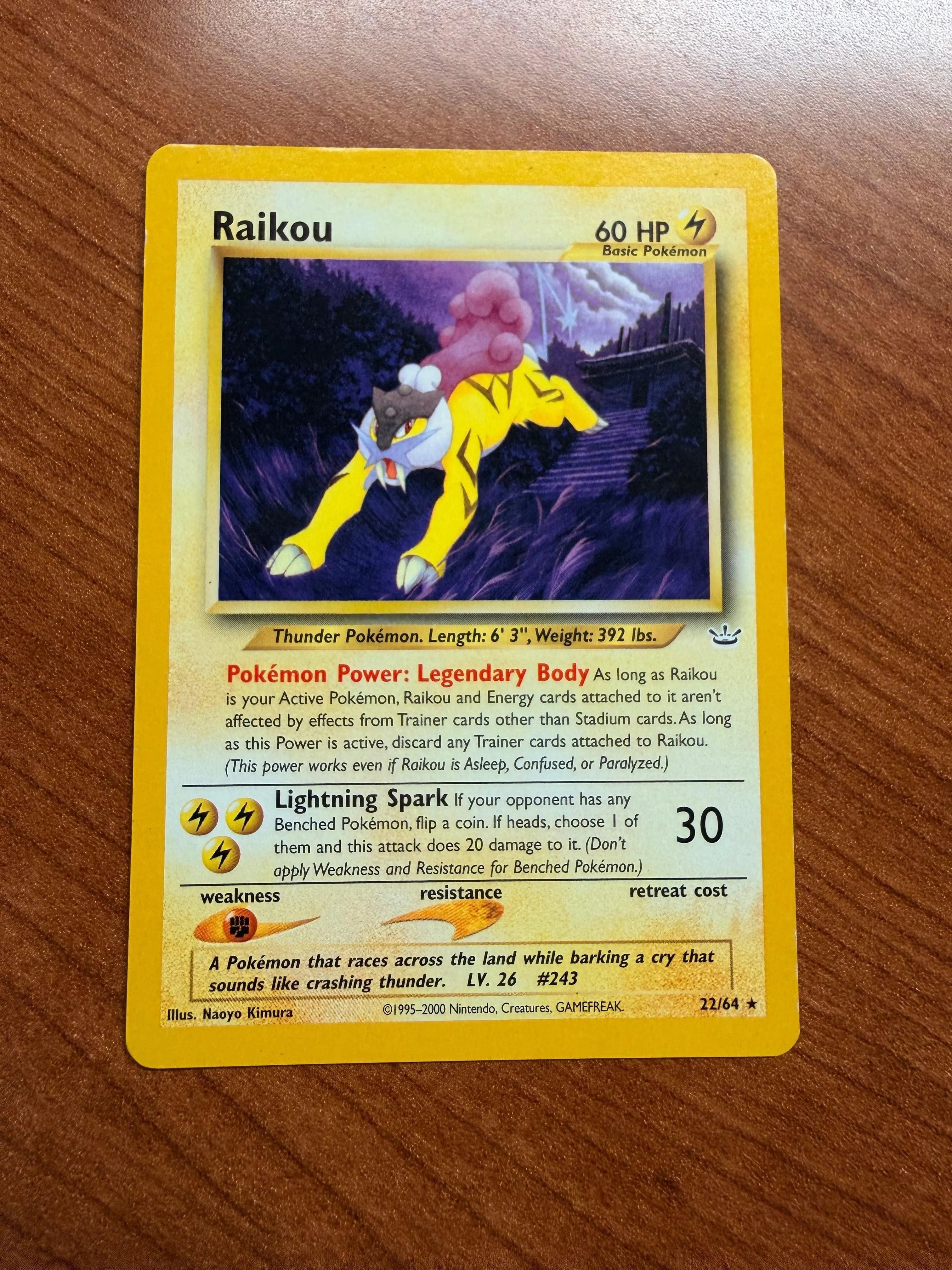 Raikou 22/64