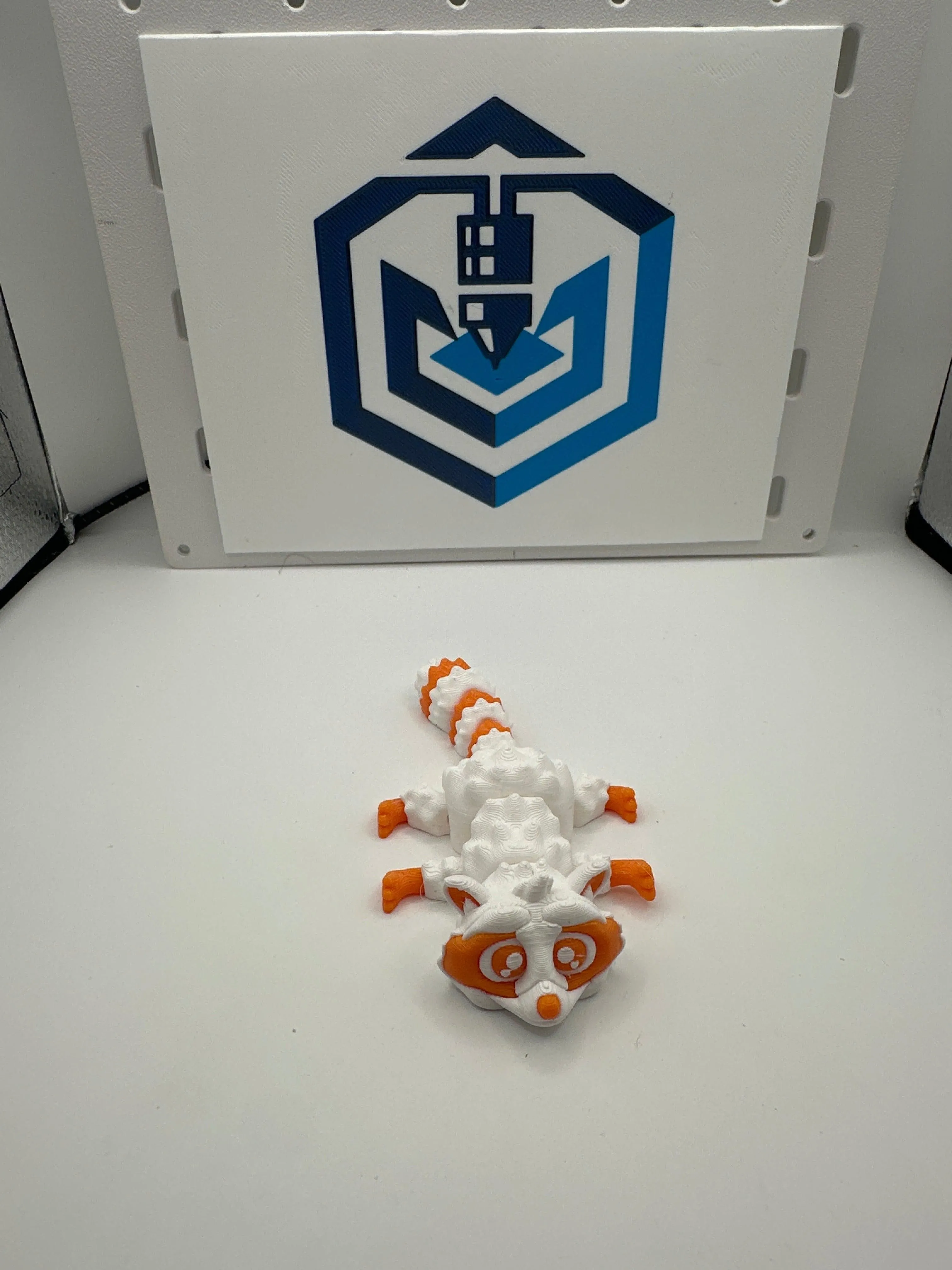 Raccoon white/orange