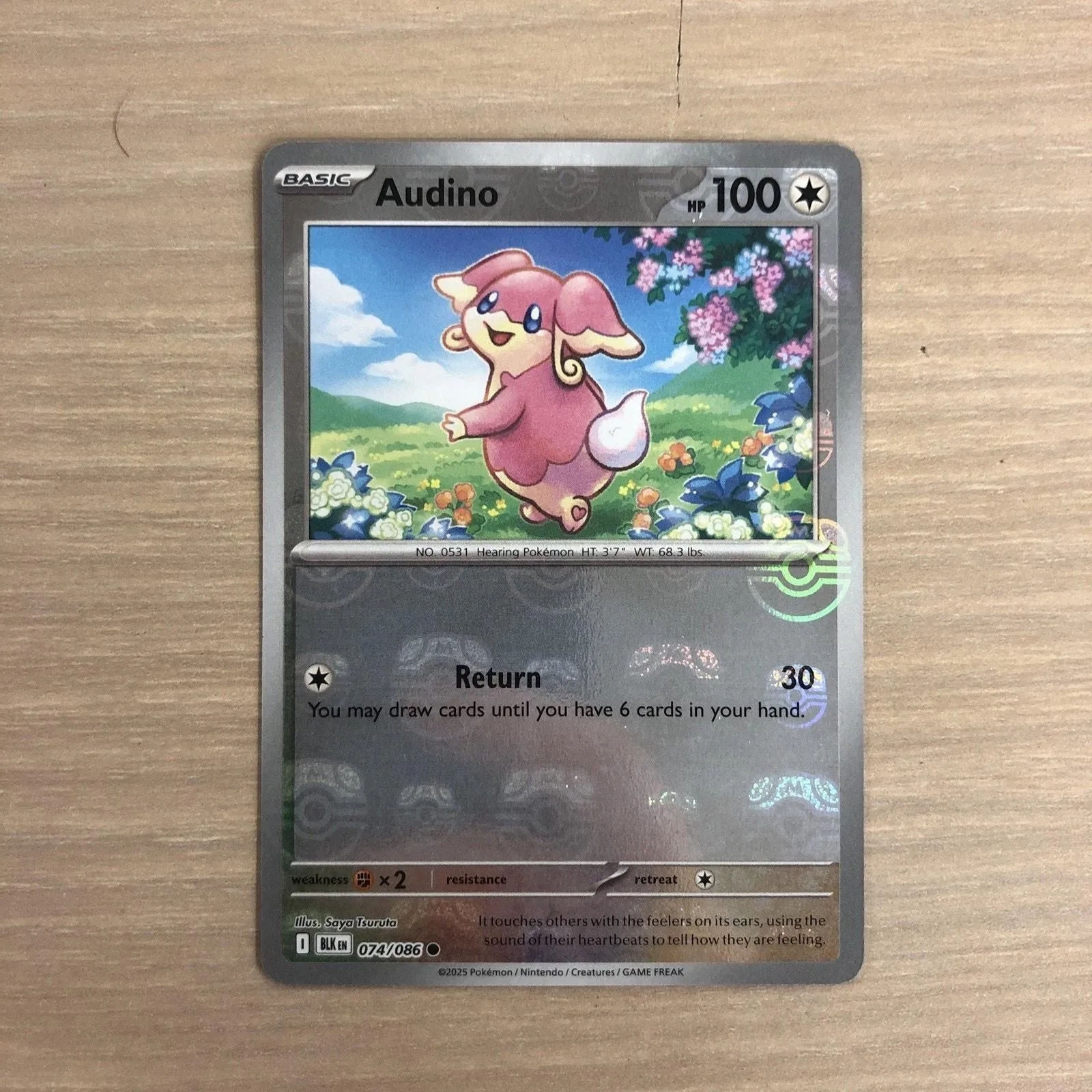 a585a5501ca275296e3732cafe6ecf5713872dcb Picture 0
