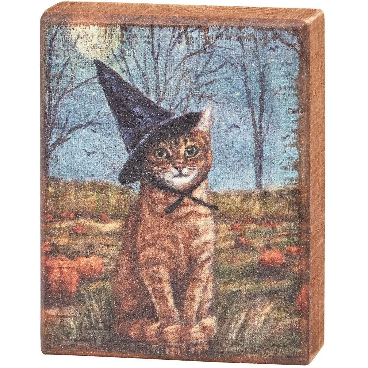 Cat As A Witch | Block Sign
