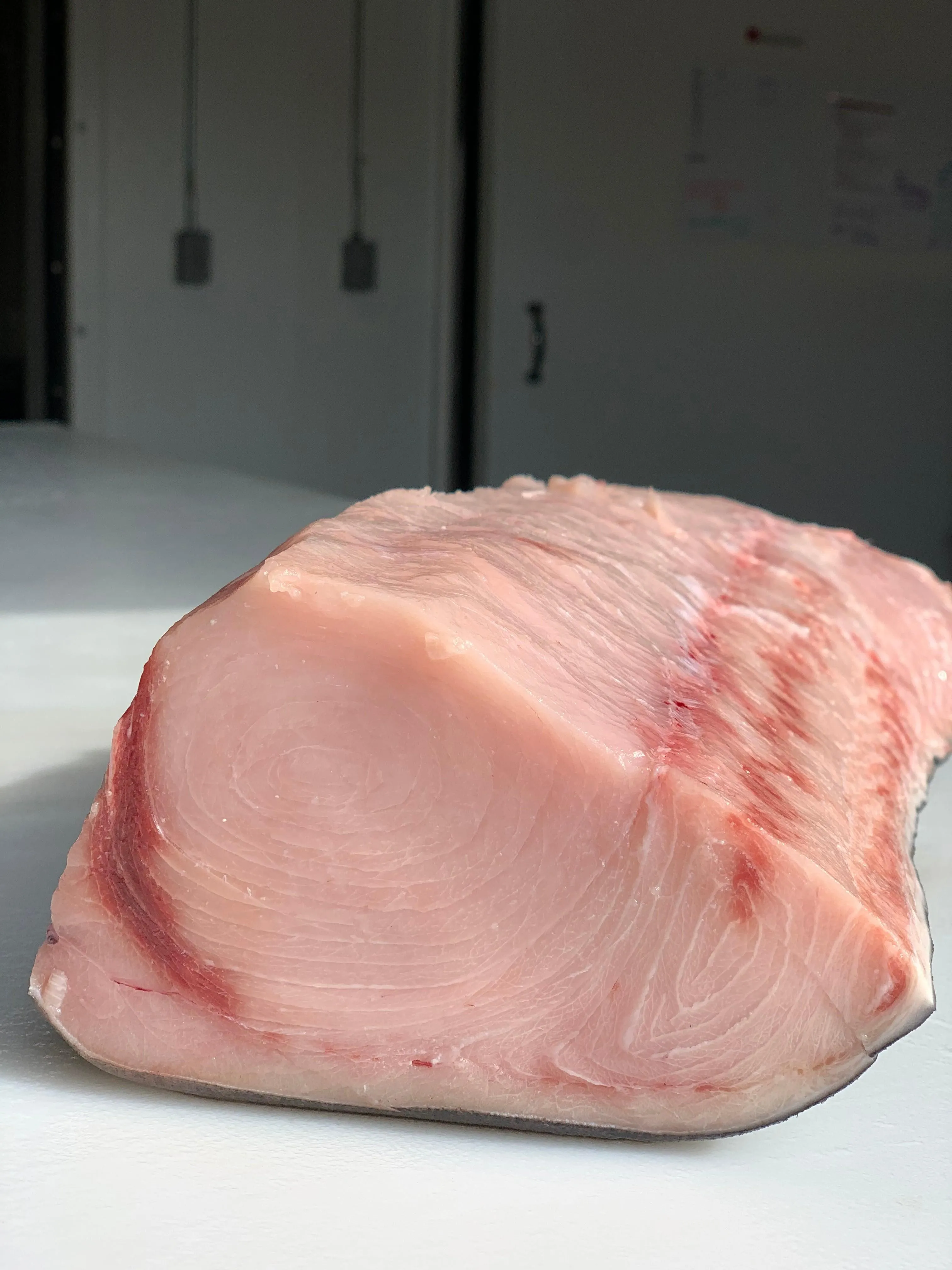 Swordfish