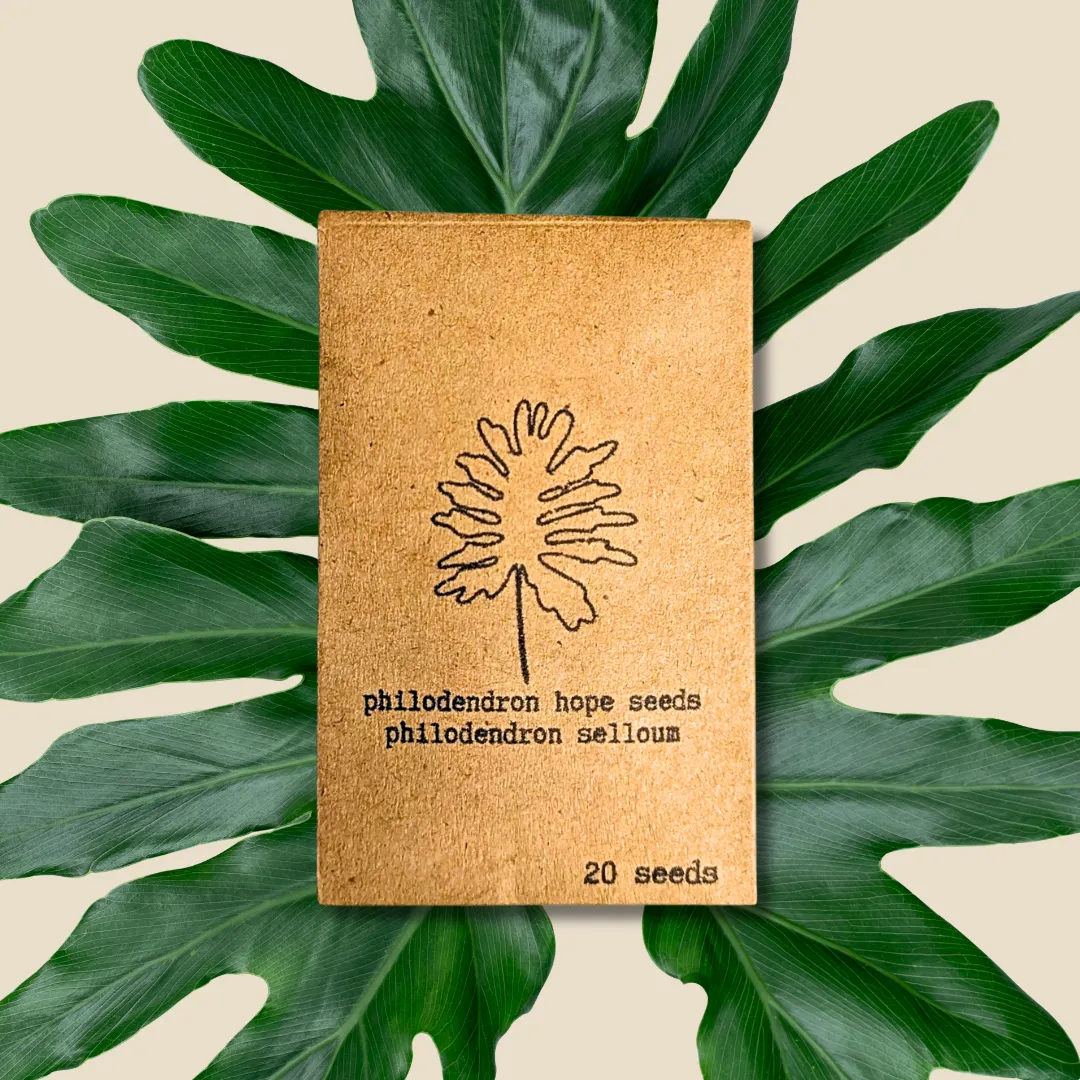 Houseplant & Tropical Plant Seeds