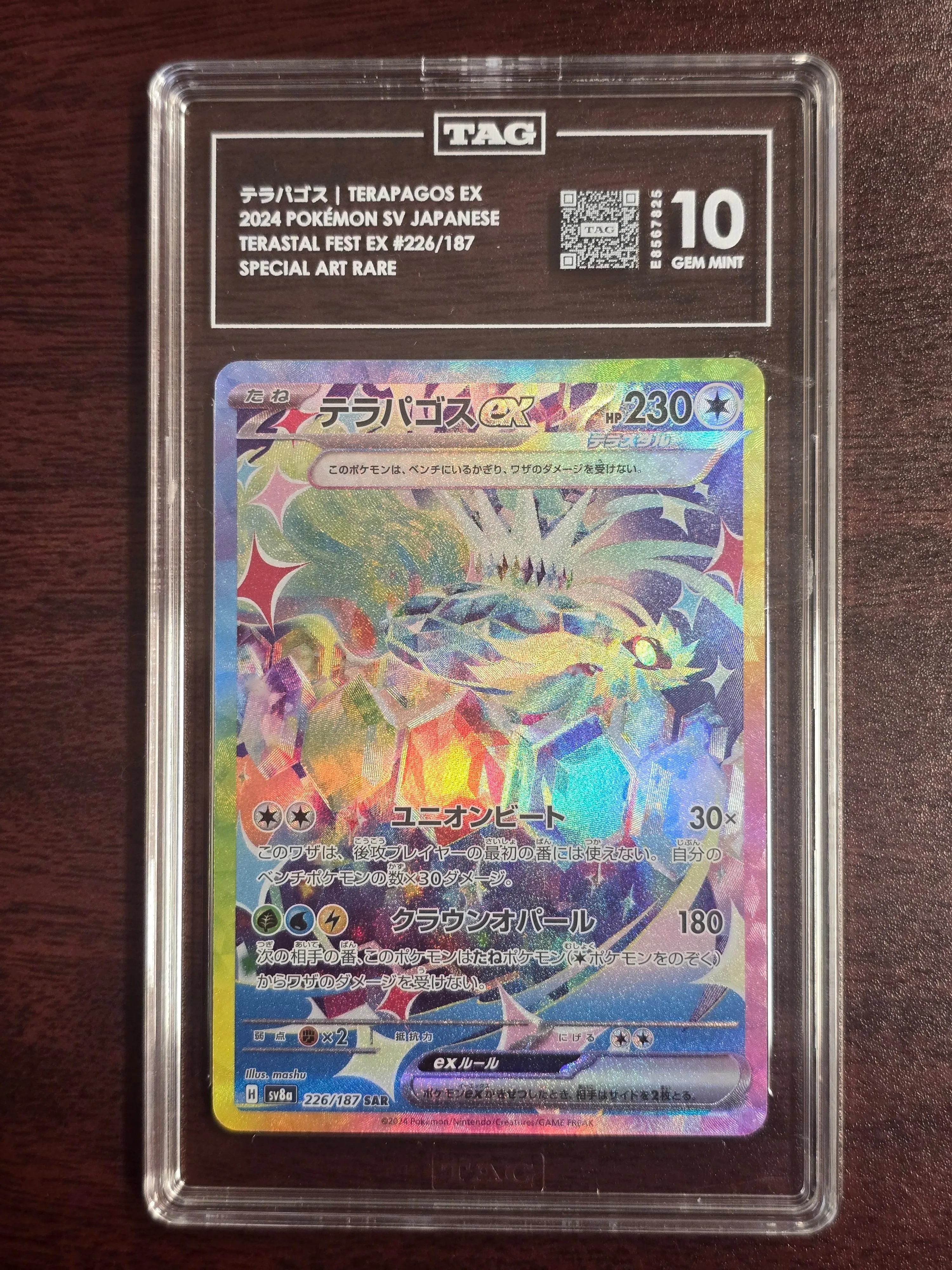 Terapagos ex #226/187 Special Art Rare — Japanese Terastal Festival ex (2024) — TAG 10 Gem Mint