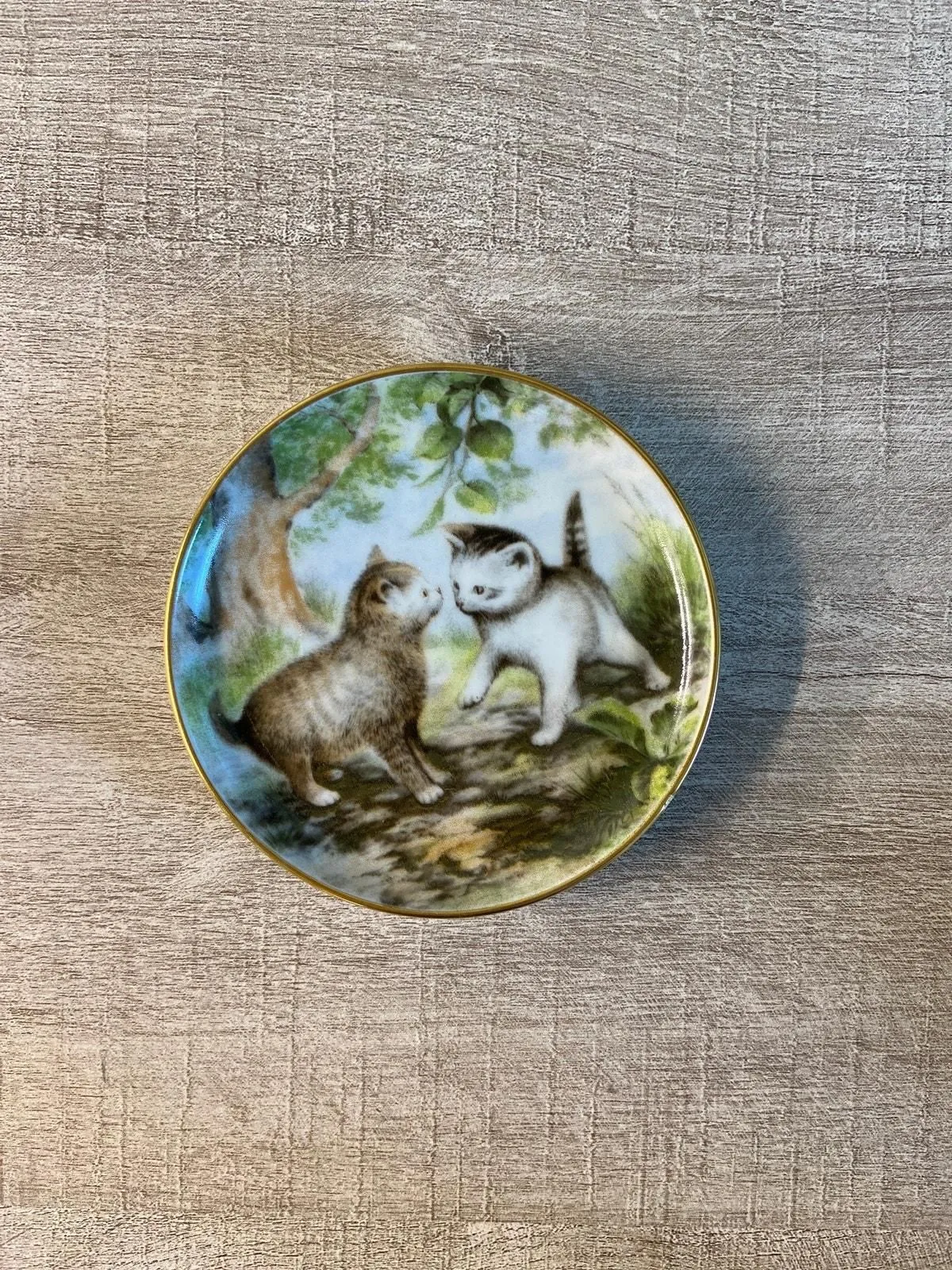 QBWxJYXsK007DneDVzs3 Picture 0