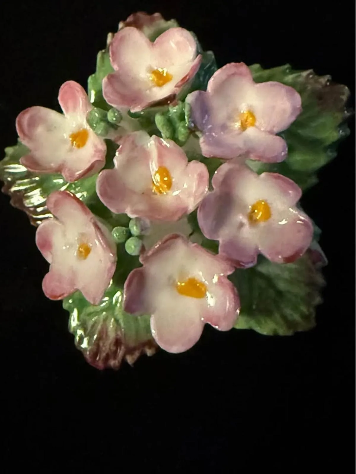 jE2HFUDESZn61ec3bJO8 Picture 0