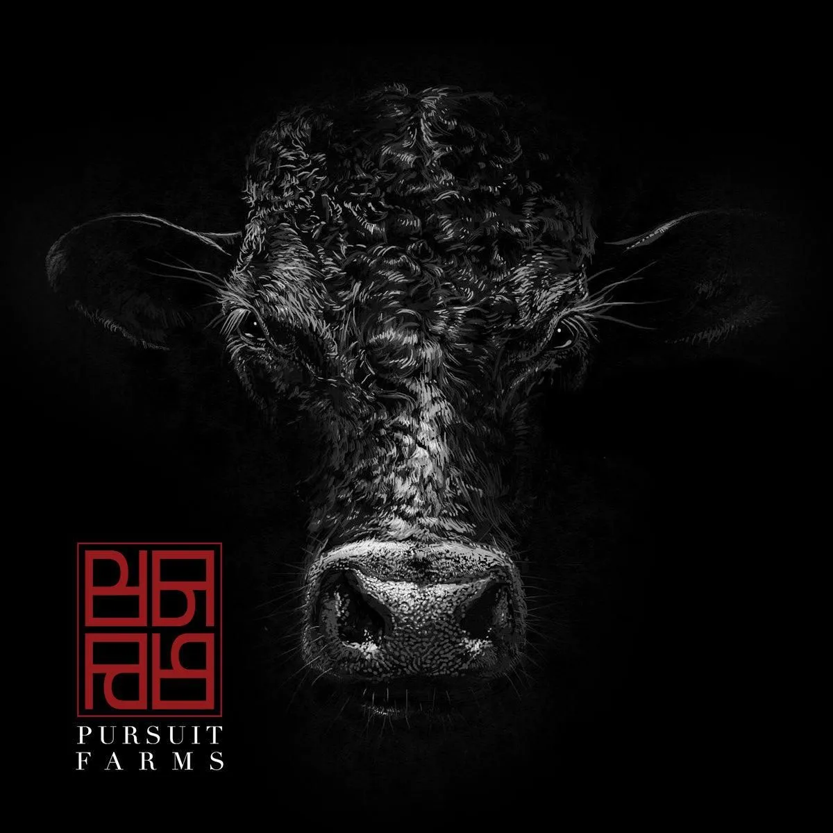 SUPER RARE Japanese A5 Honeycomb Tripe @ 50/lb approx 2.4# average