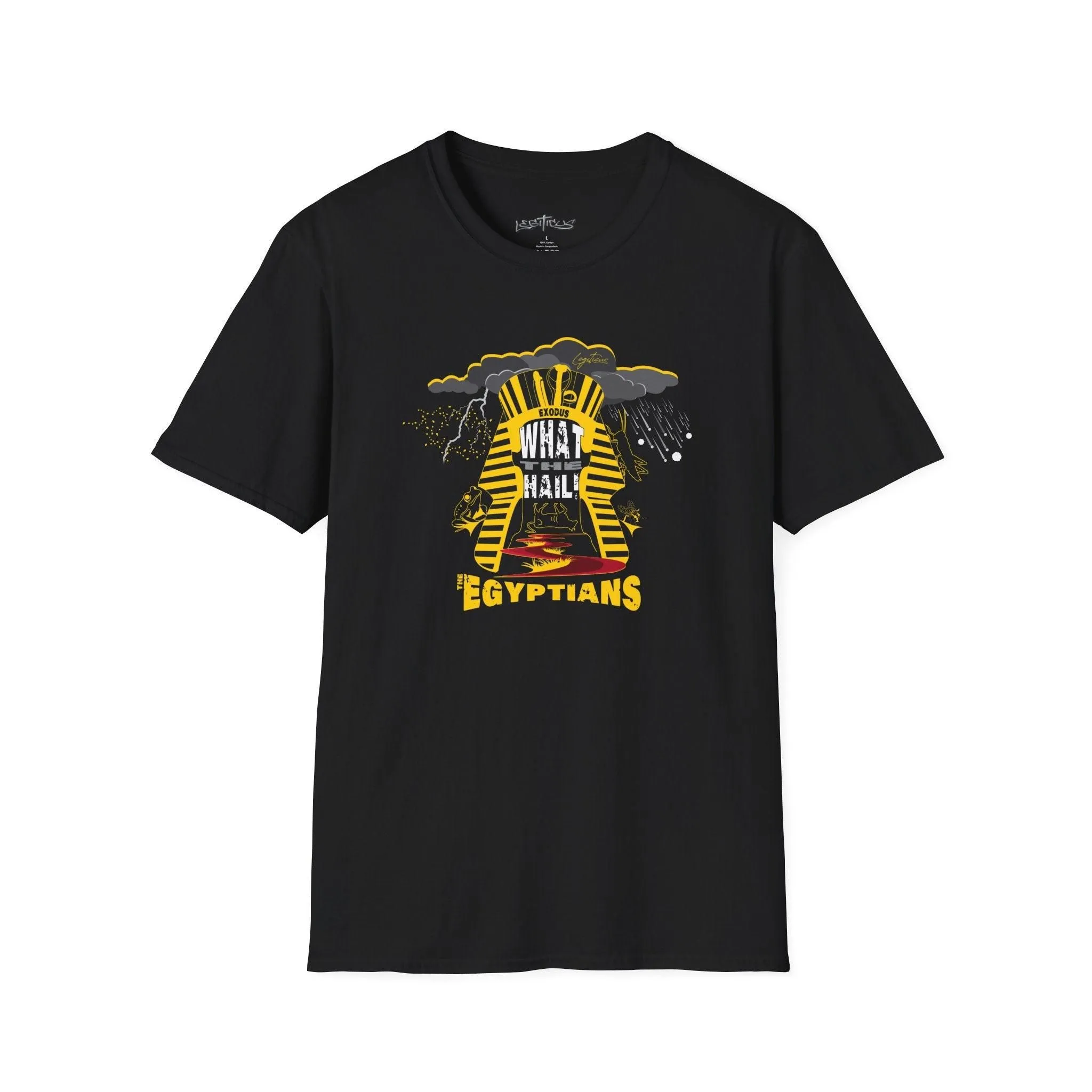 What the Hail Tour Unisex Softstyle T-Shirt