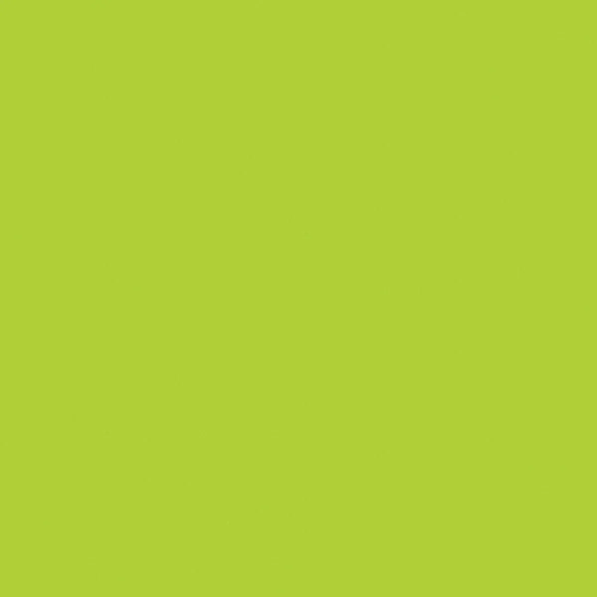 Confetti Cotton™ C120­-RILEYLIME  Riley Blake Half Yard