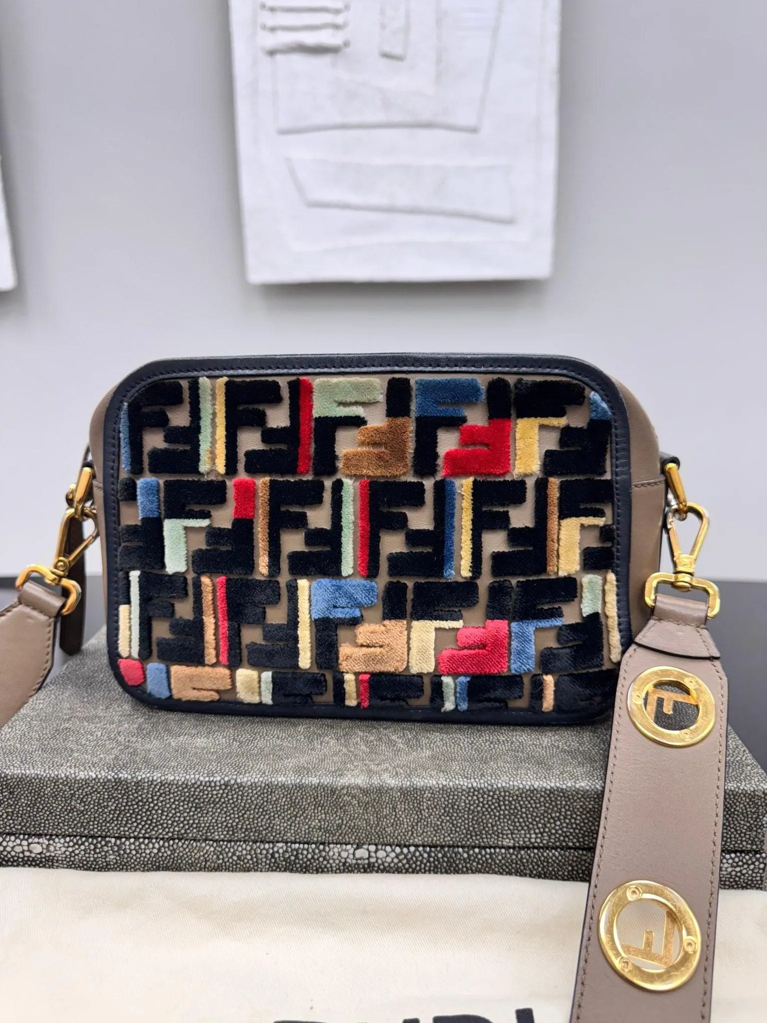 Fendi Multicolor Velvet And Leather Vitello Century Camera Bag