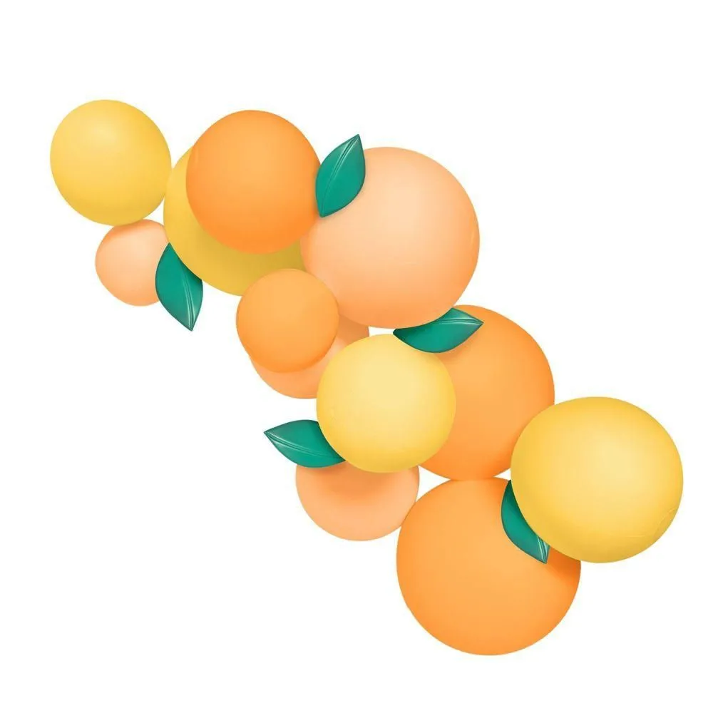 Open-box - MINNIDIP Balloon Garland 12 Cluster in Citrus