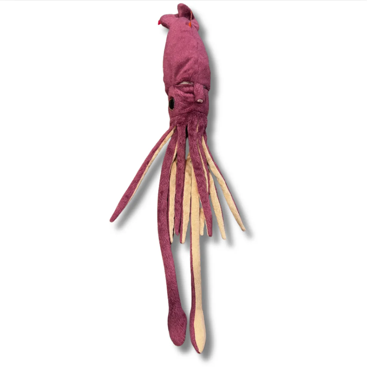 Wild Republicans Squid: Orphan