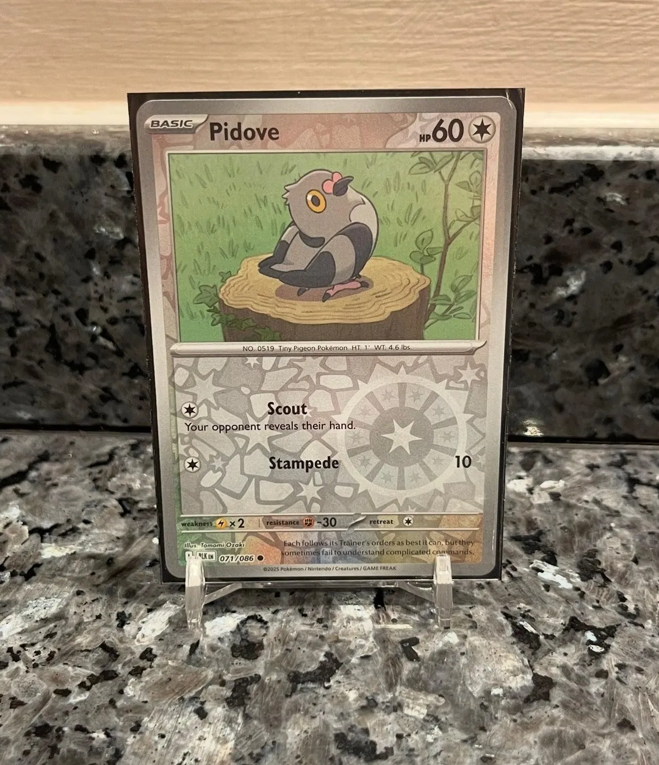 Pokémon TCG Pidove Scarlet & Violet- Black Bolt 071/086 Holo