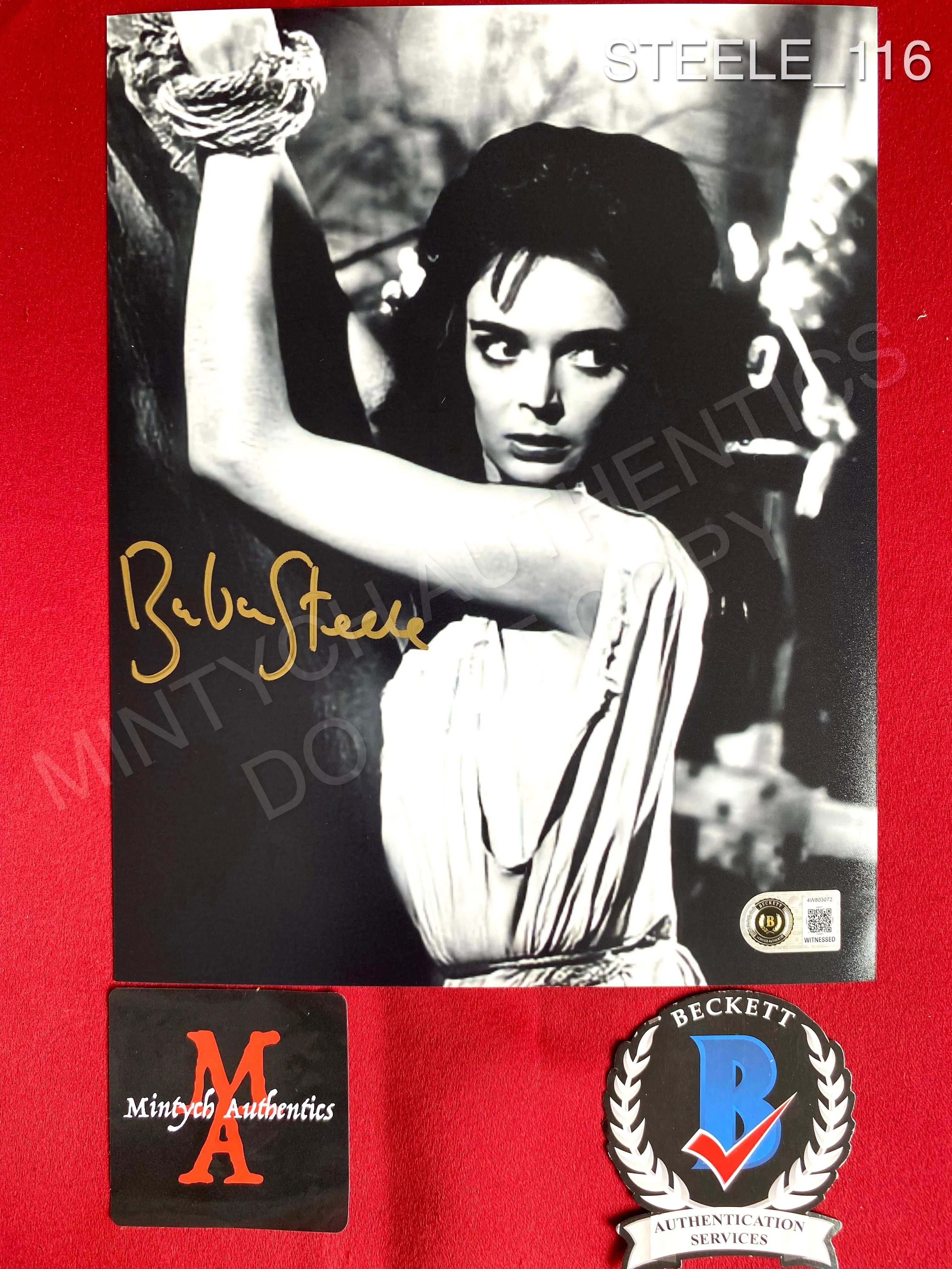 STEELE_116 - 8x10 Black Sunday Photo Autographed By Barbara Steele