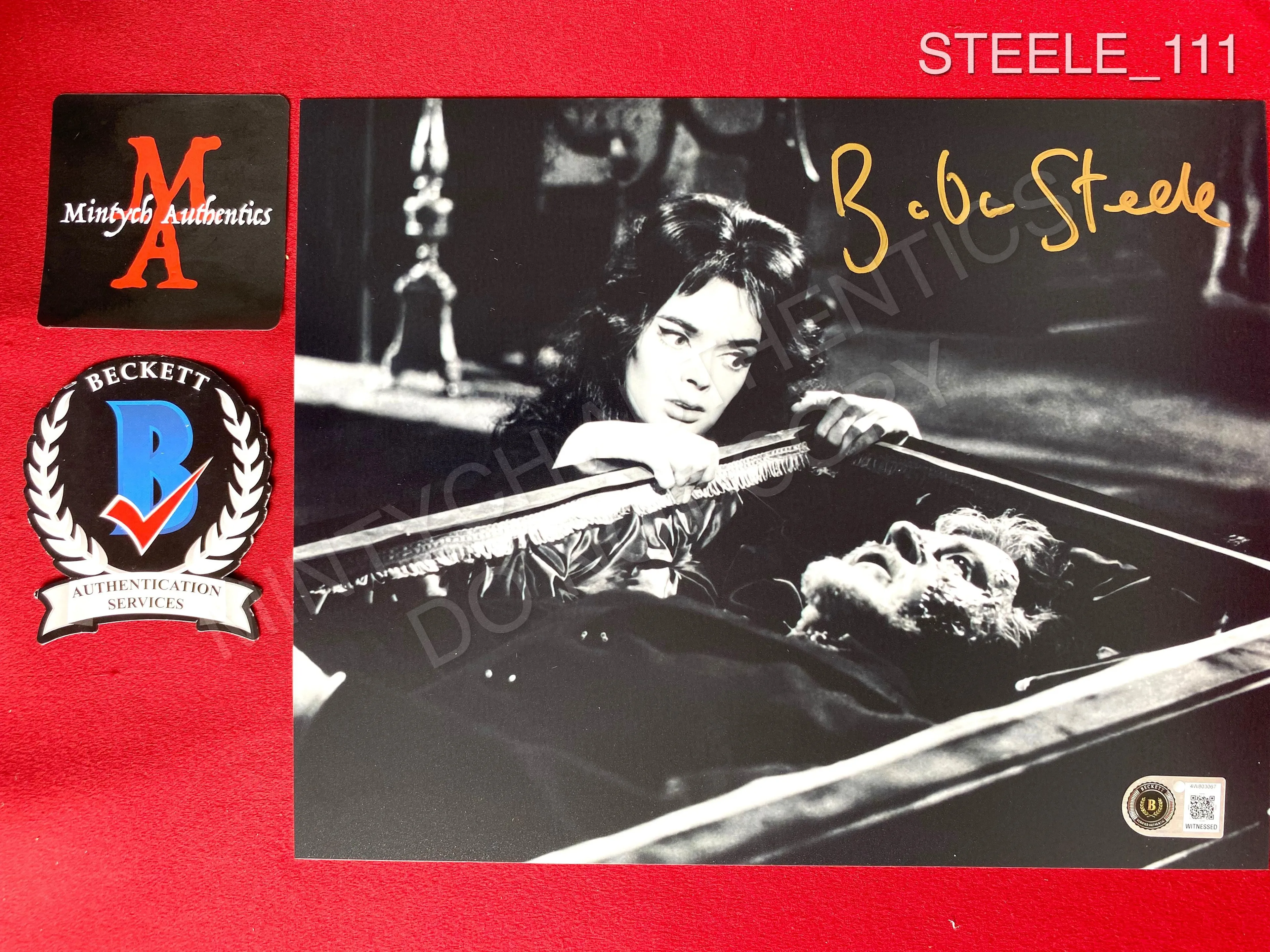 STEELE_111 - 8x10 Black Sunday Photo Autographed By Barbara Steele