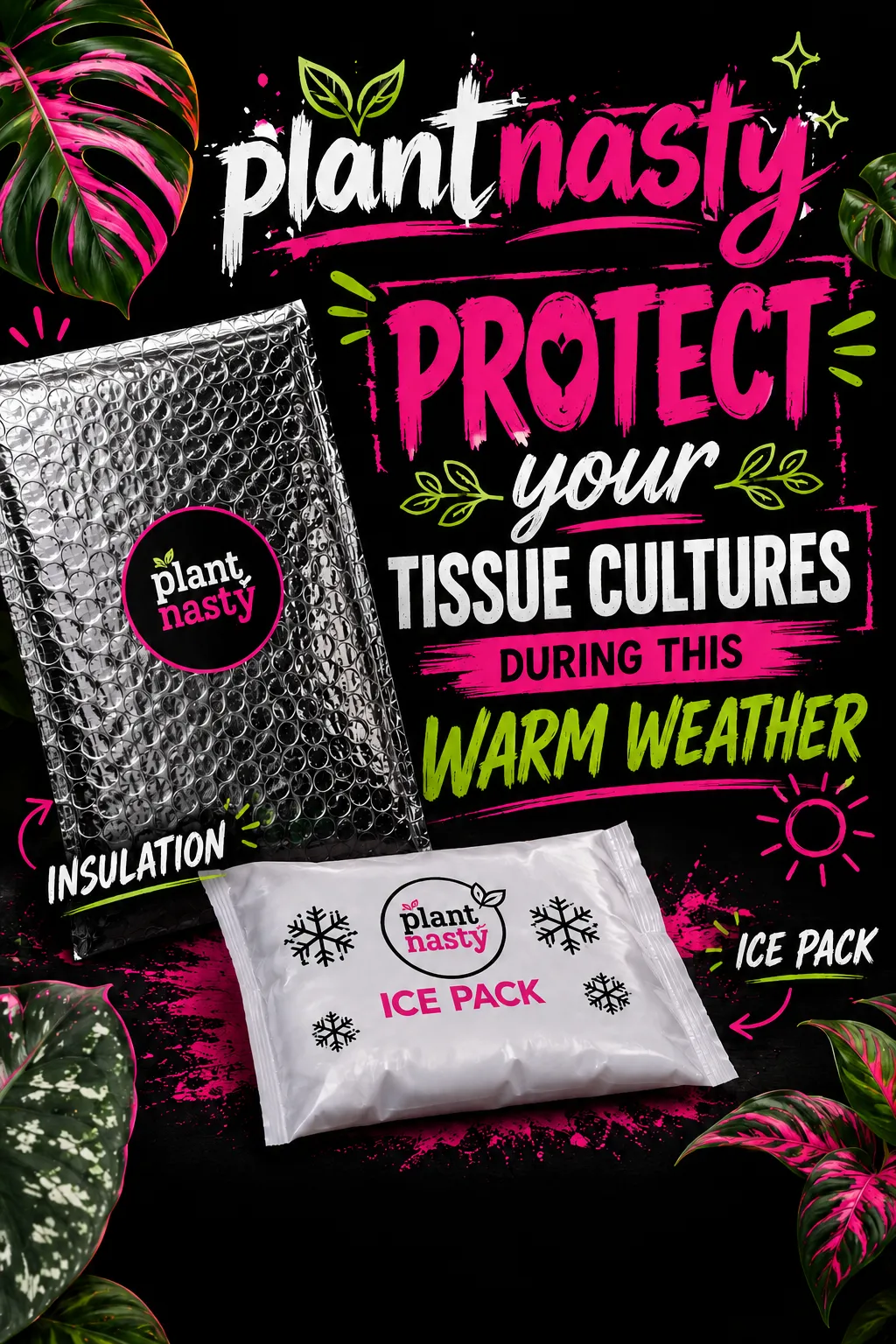 Insulation and Heat Pack - Protect those tissue cultures in this warm weather