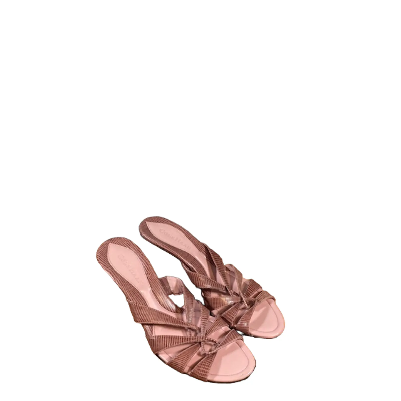 DTEnCbD7YN4ZqN370nRC Picture 0