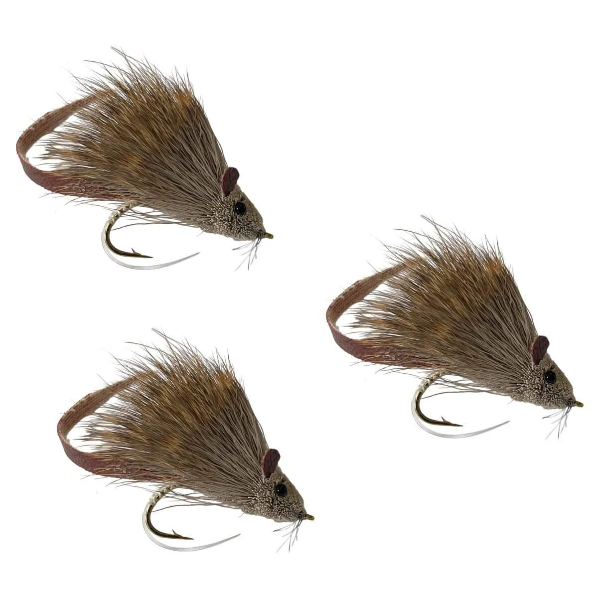 Rat | 3 Pack