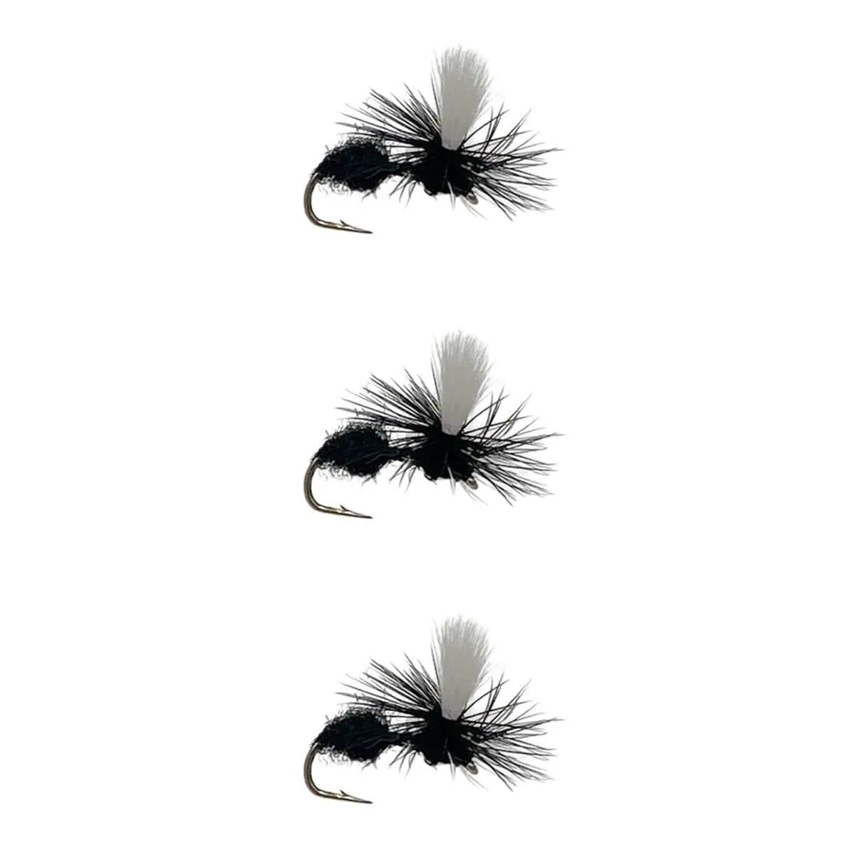 Black Ant - Parachute | 3 Pack