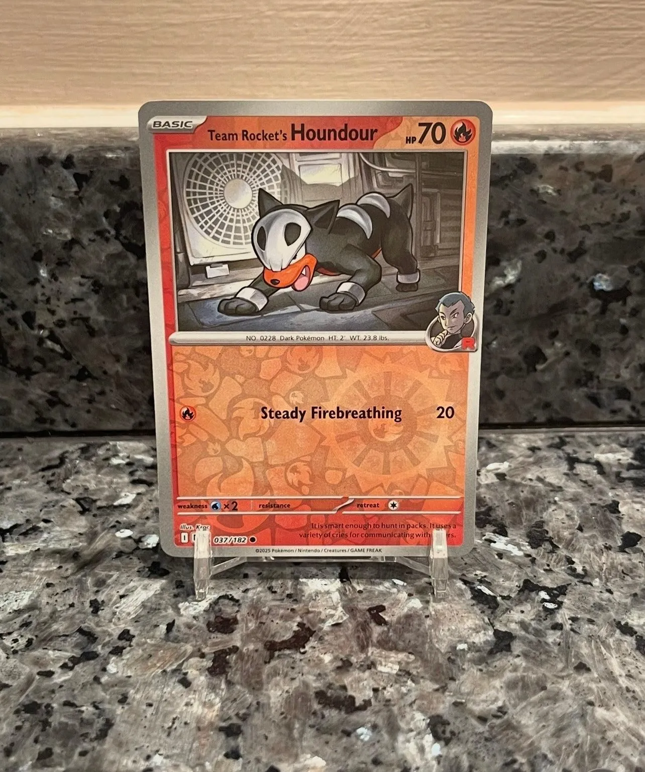 Pokemon TCG Team Rockets Houndour Gym Scarlet & Violet - Destined Rivals 037/182 Holo