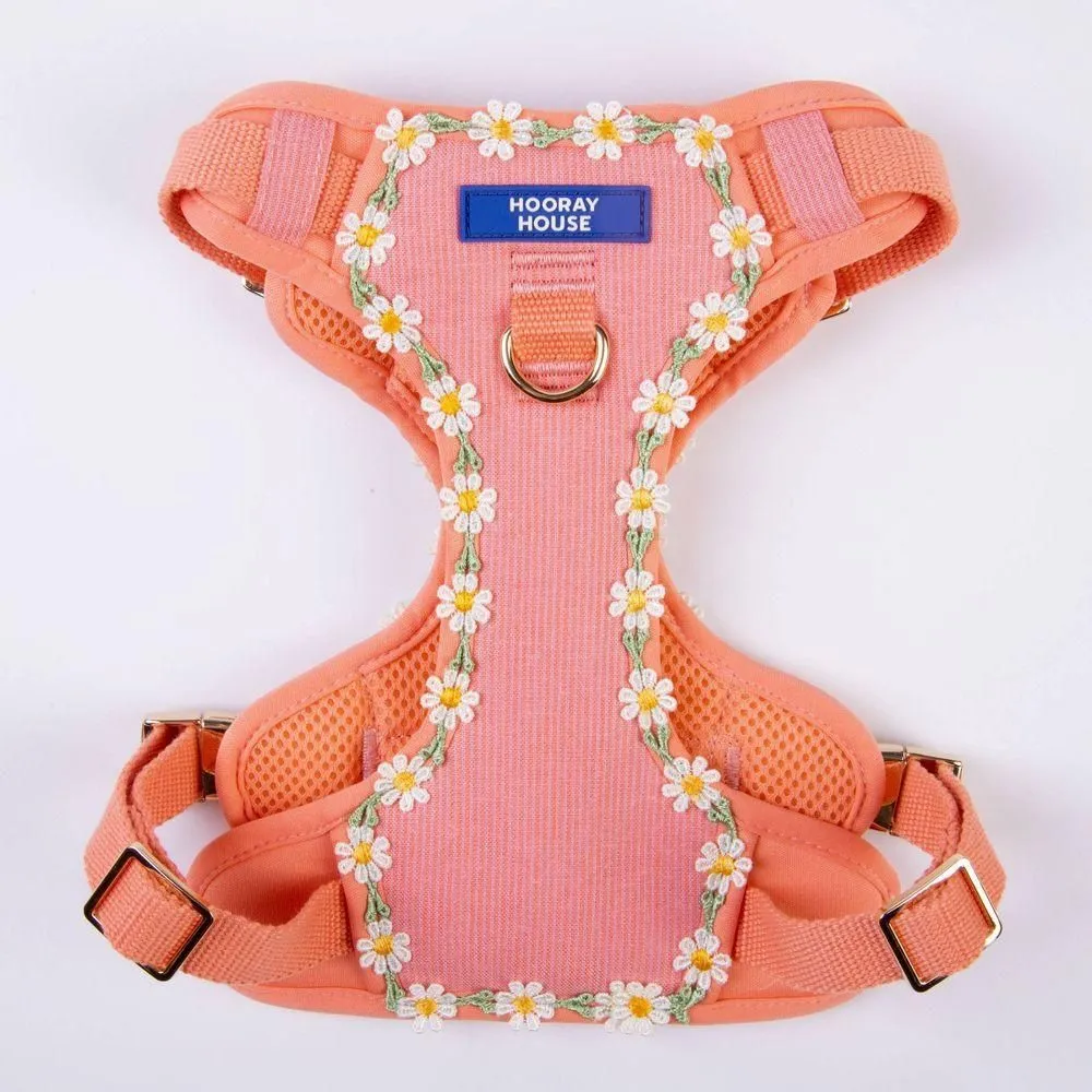 New without box - Hooray House Daisy Dog Harness - M
