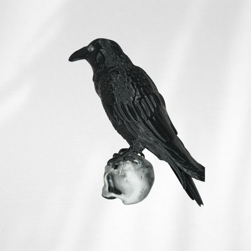 Crow and Skull