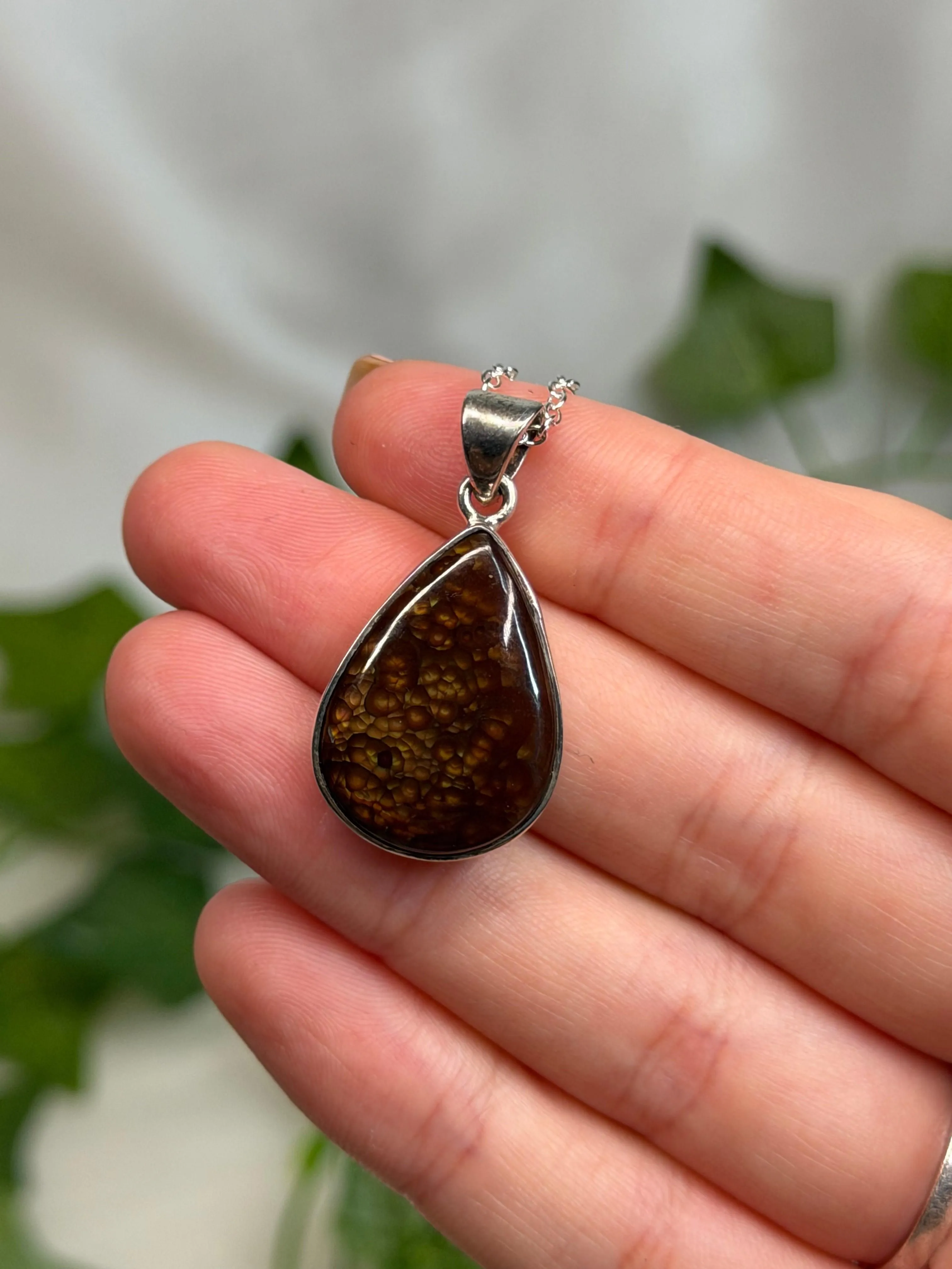 Fire Agate Pendant (925 Sterling Silver) B