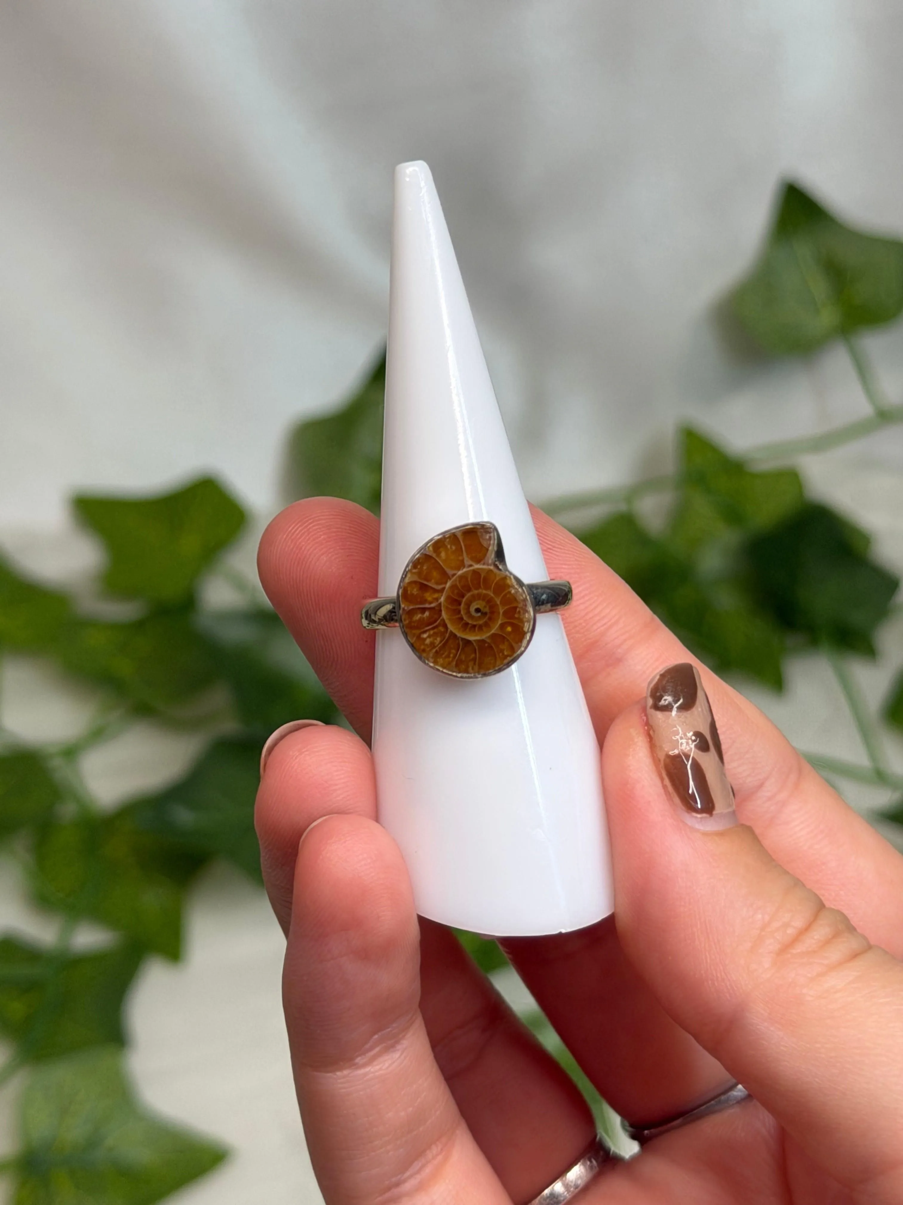Ammonite Ring Size M (925 Sterling Silver)