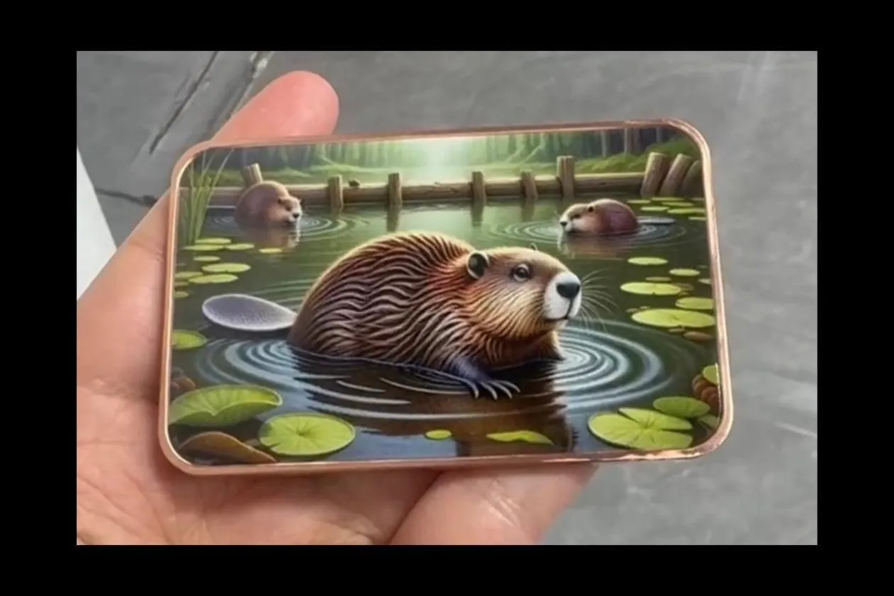 In Stock! 5oz Copper Backwoods Beaver WITH CAPSULE