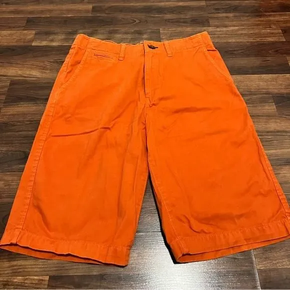 Product image for American Eagle Longboard Shorts Mens Size 31