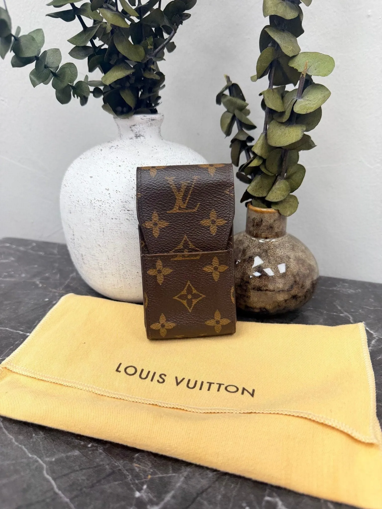 Louis Vuitton Monogram Case