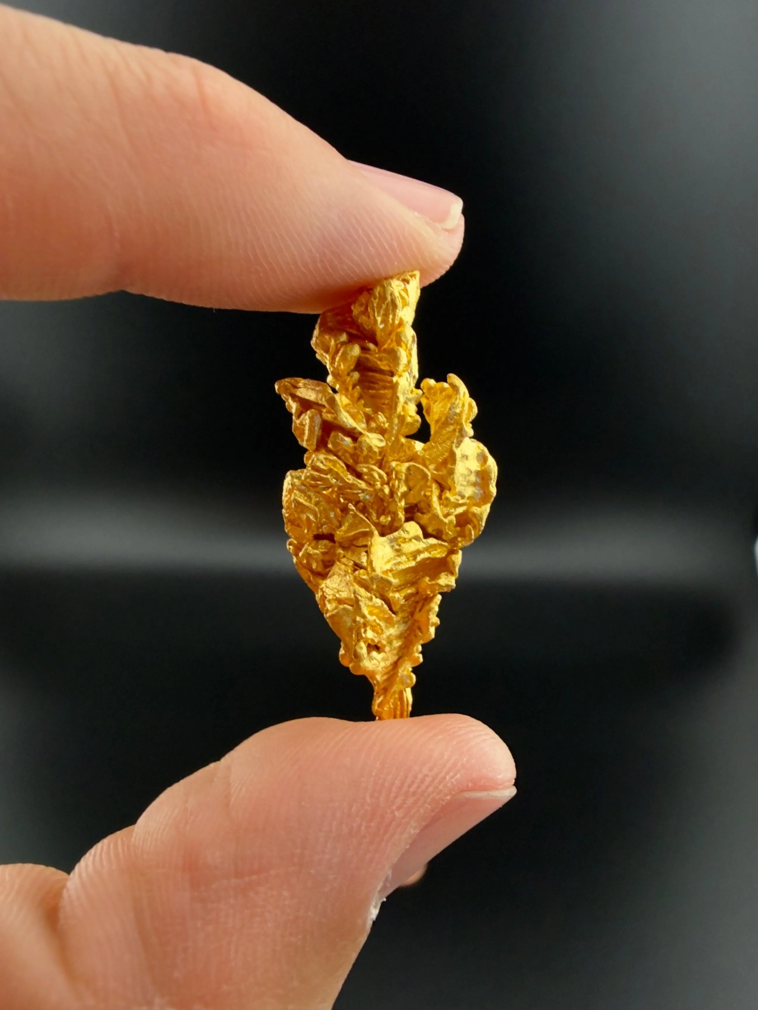 Brazilian Gold Nugget - Mato Grasso - 17.563 grams